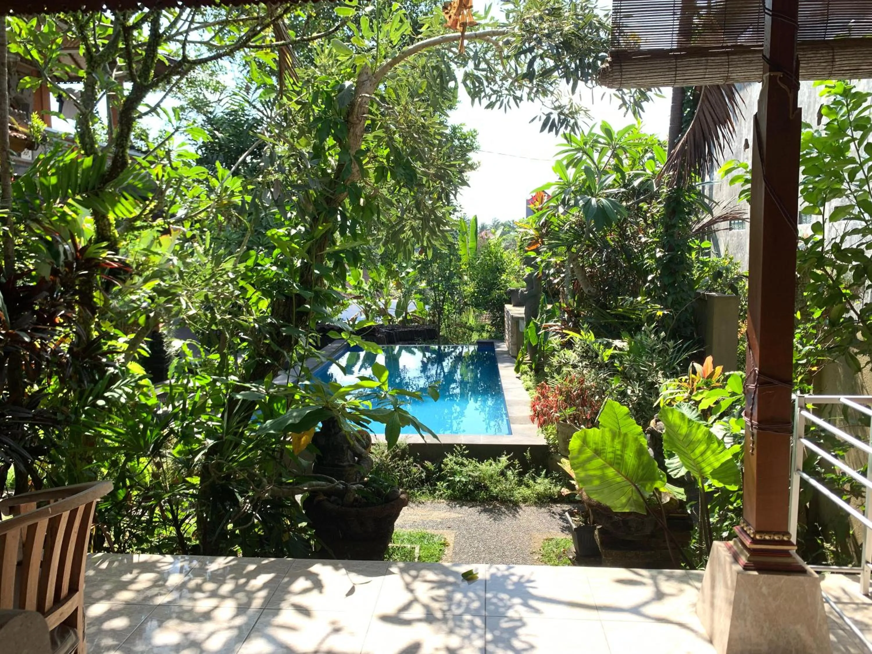 Garden view in Bagus Homestay