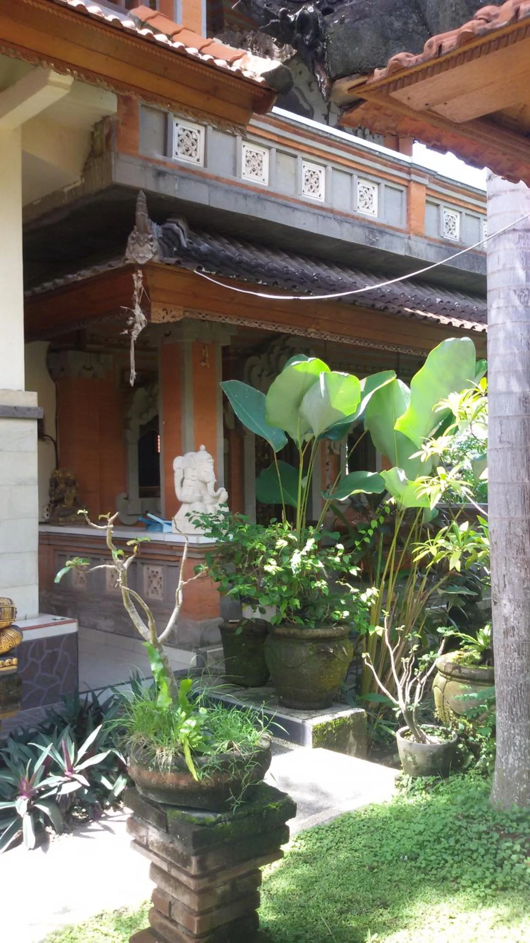 Garden in Bagus Homestay
