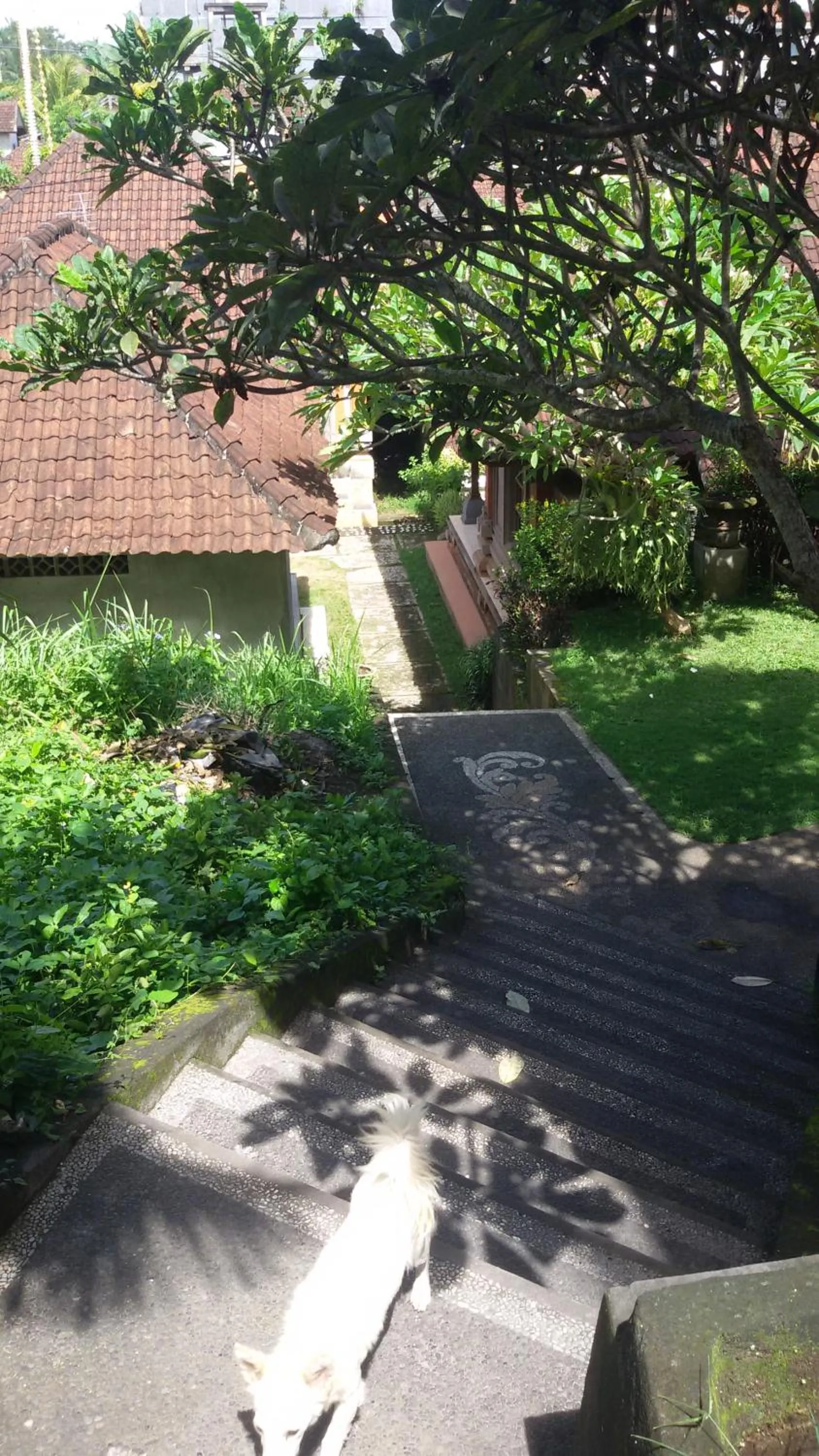 Facade/entrance in Bagus Homestay