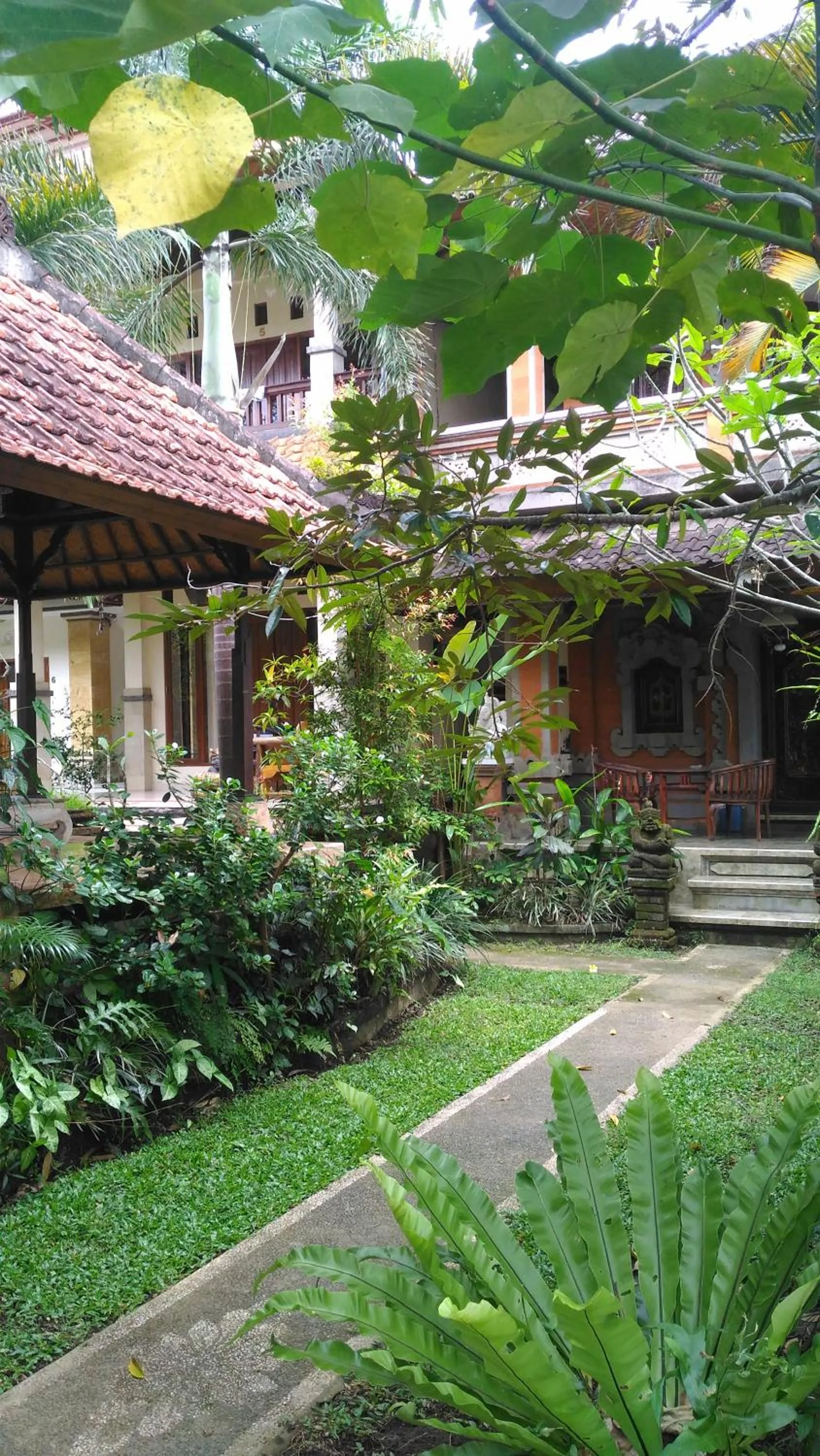 Garden in Bagus Homestay