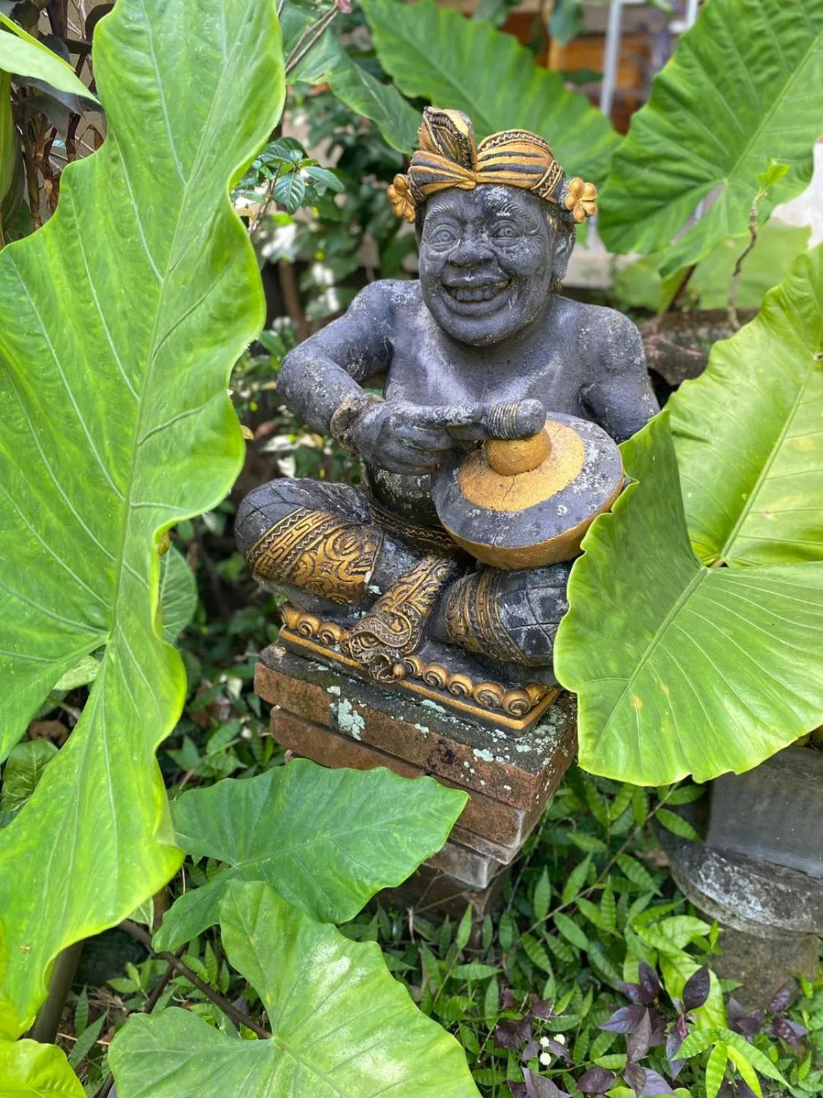 Natural landscape in Bagus Homestay