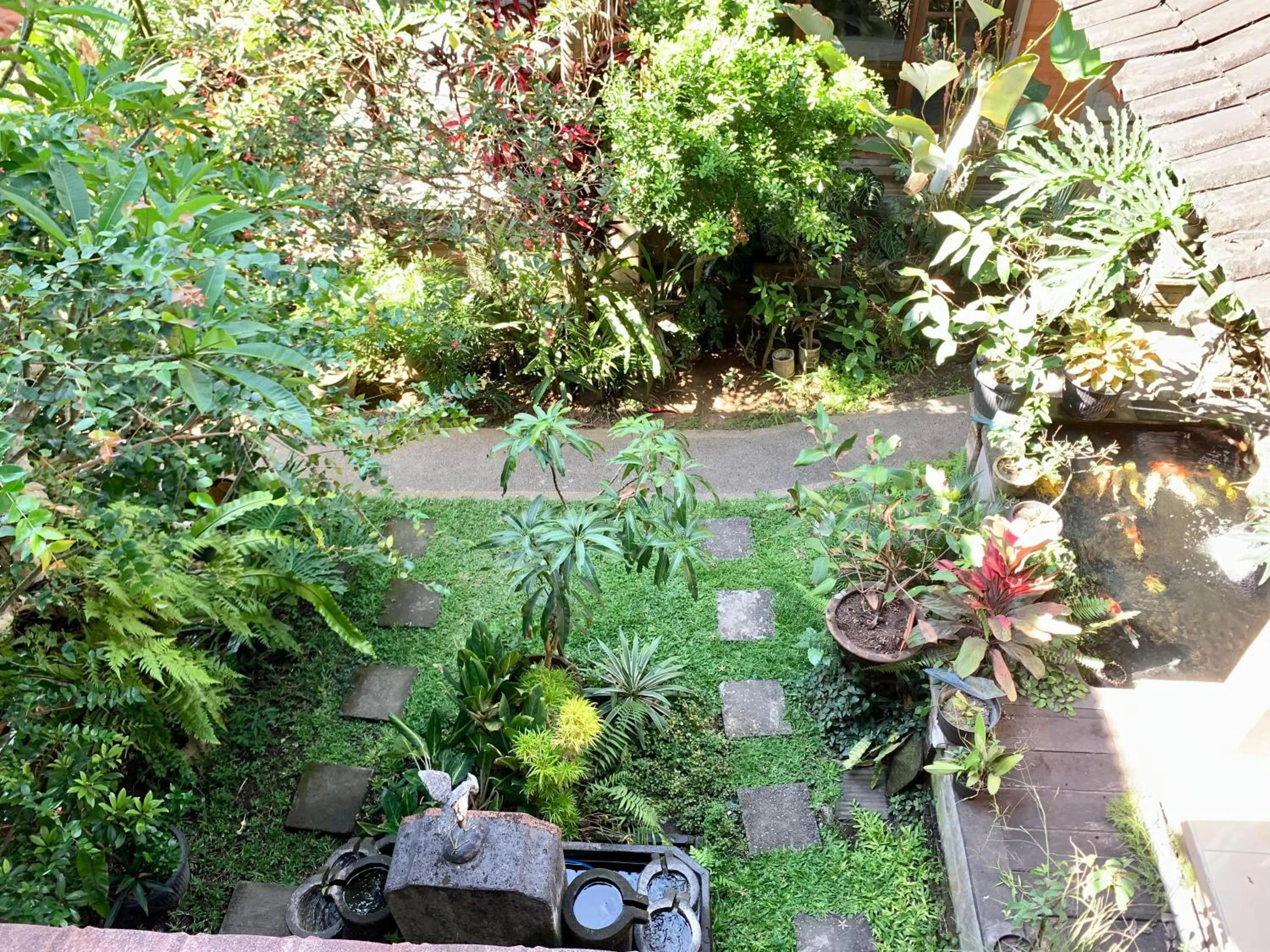 Garden view in Bagus Homestay