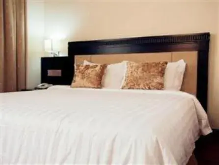 VIP Suite in Hotel S Damansara VIP Suite in Hotel S Damansara