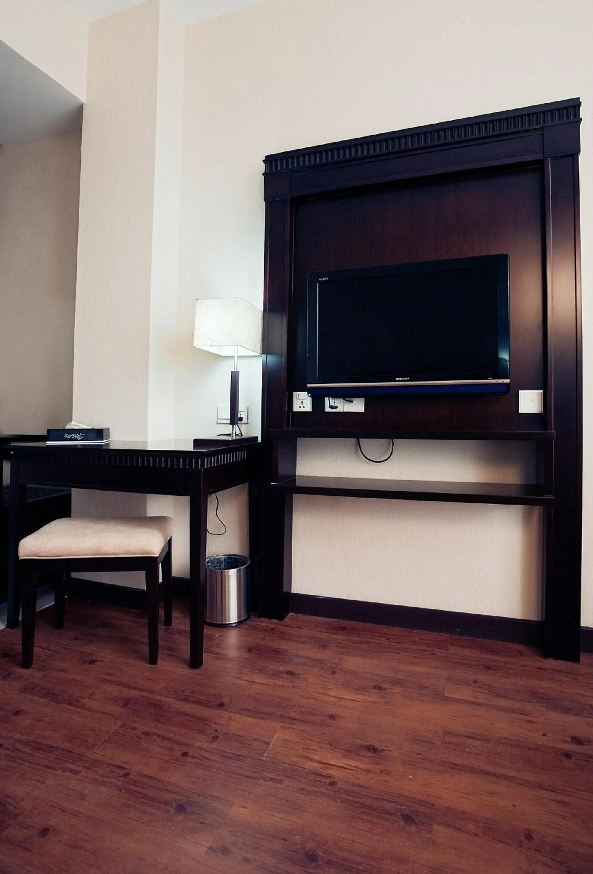 TV and multimedia in Hotel S Damansara