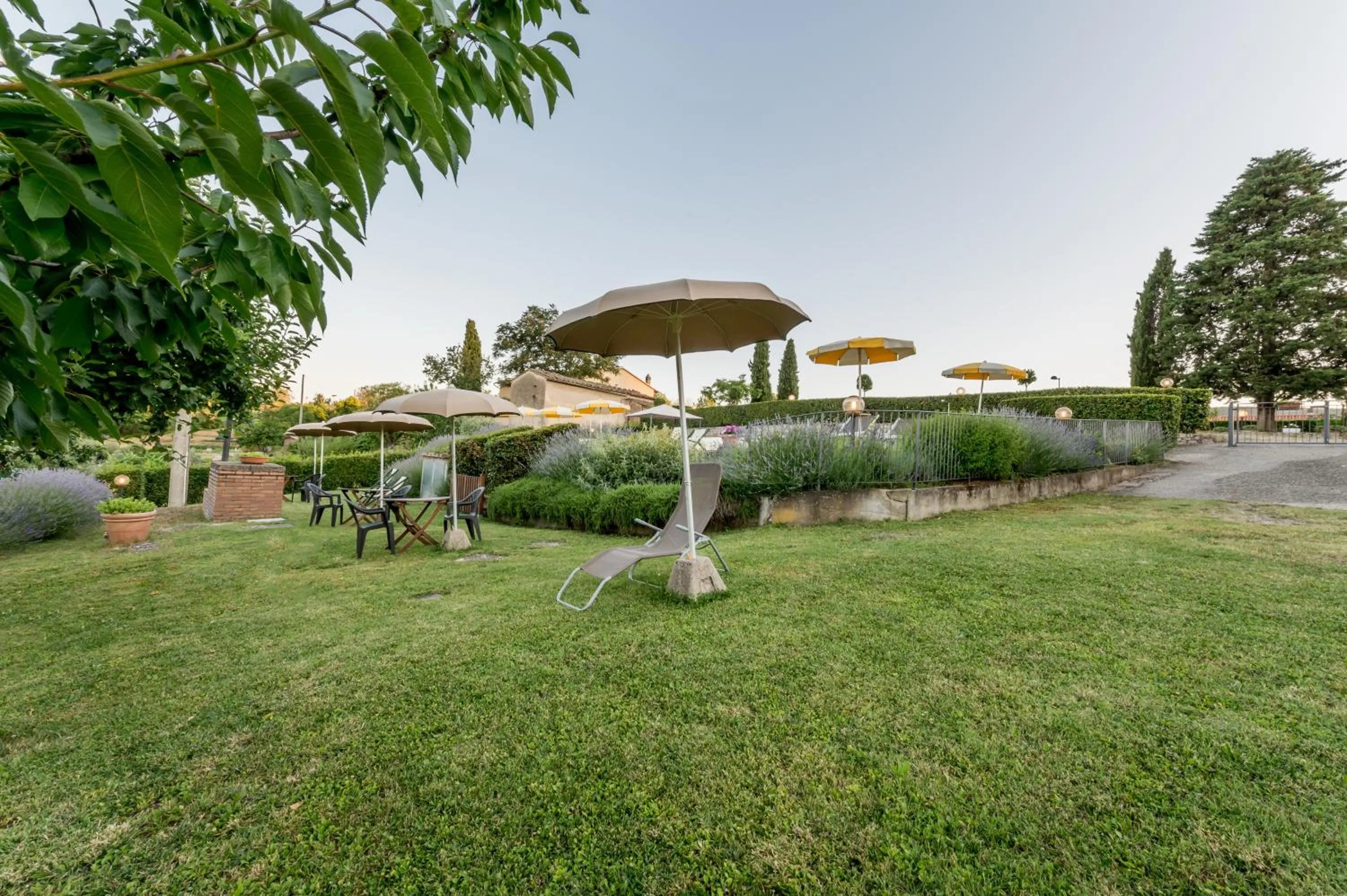 Garden in Hotel San Michele