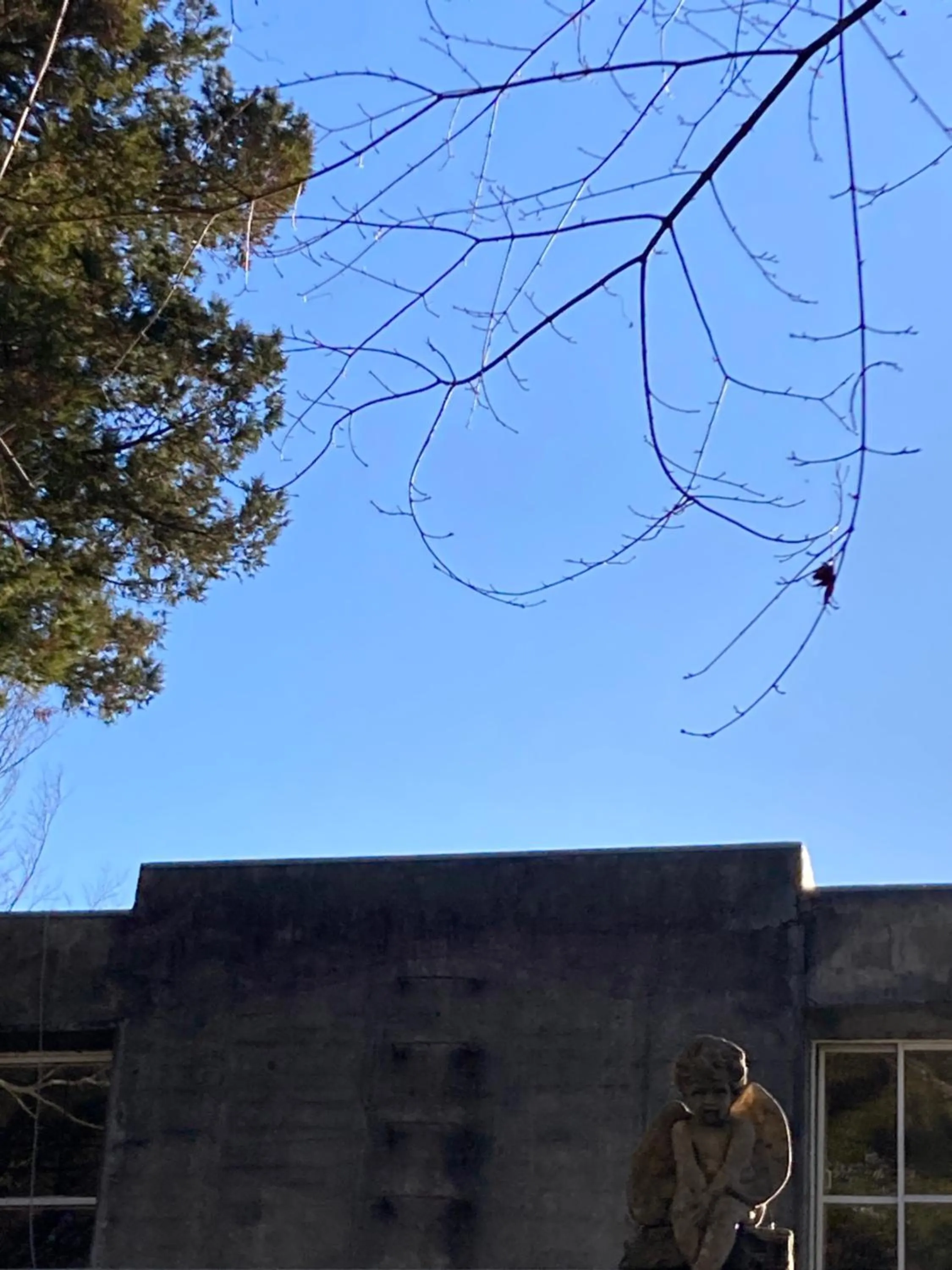 Property building in Hakone Mori No Yado