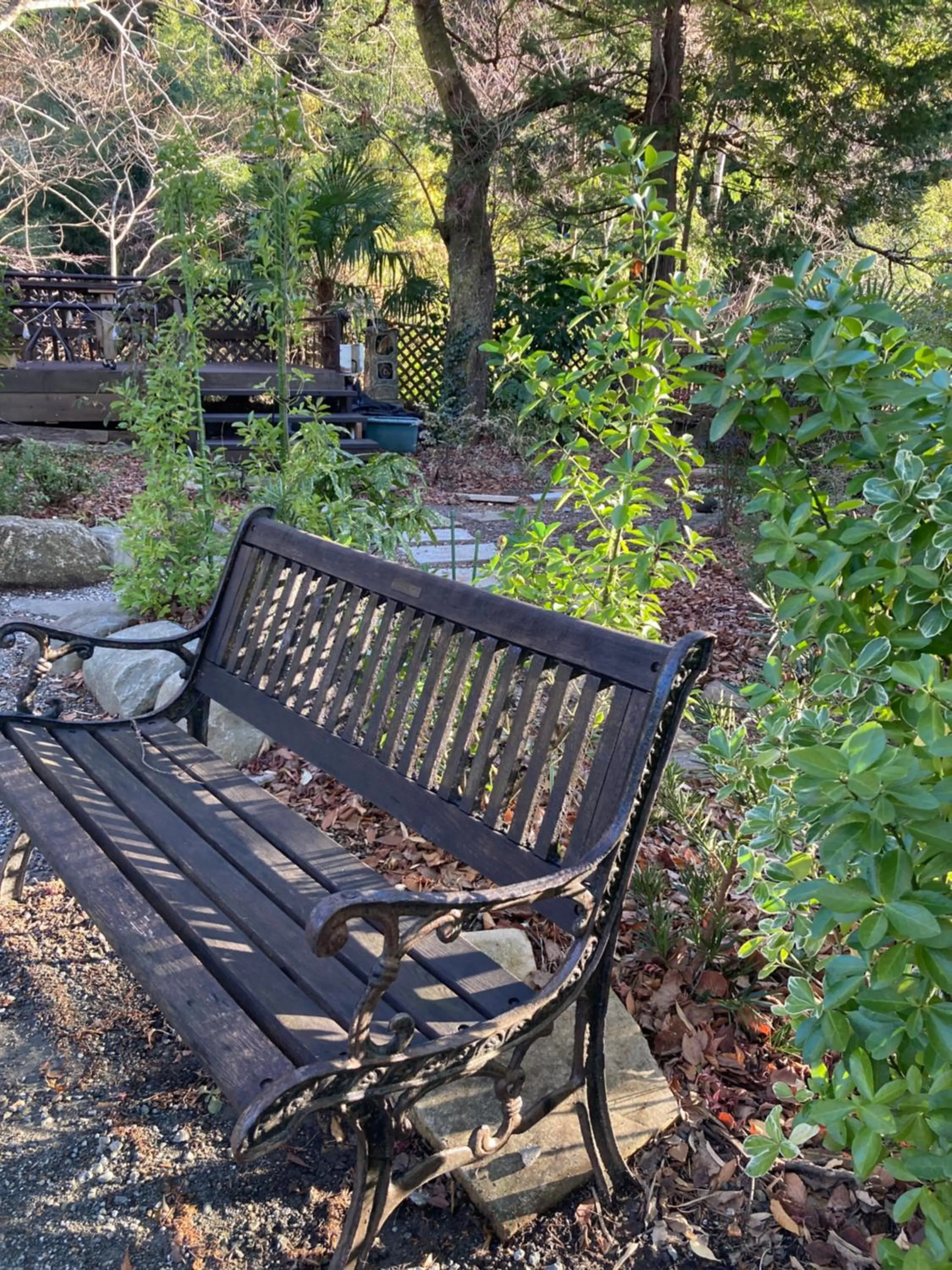 Garden in Hakone Mori No Yado