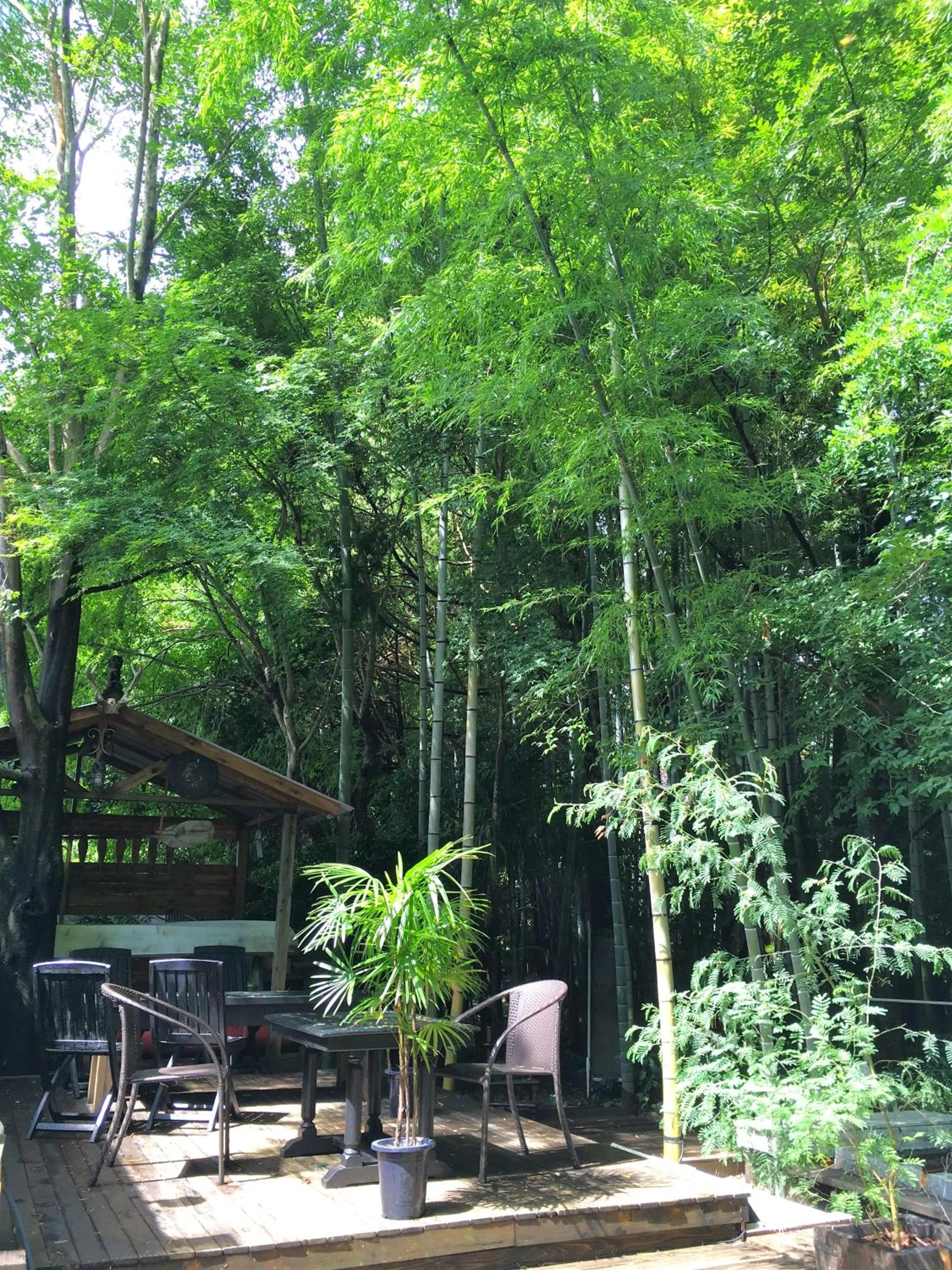 Garden in Hakone Mori No Yado