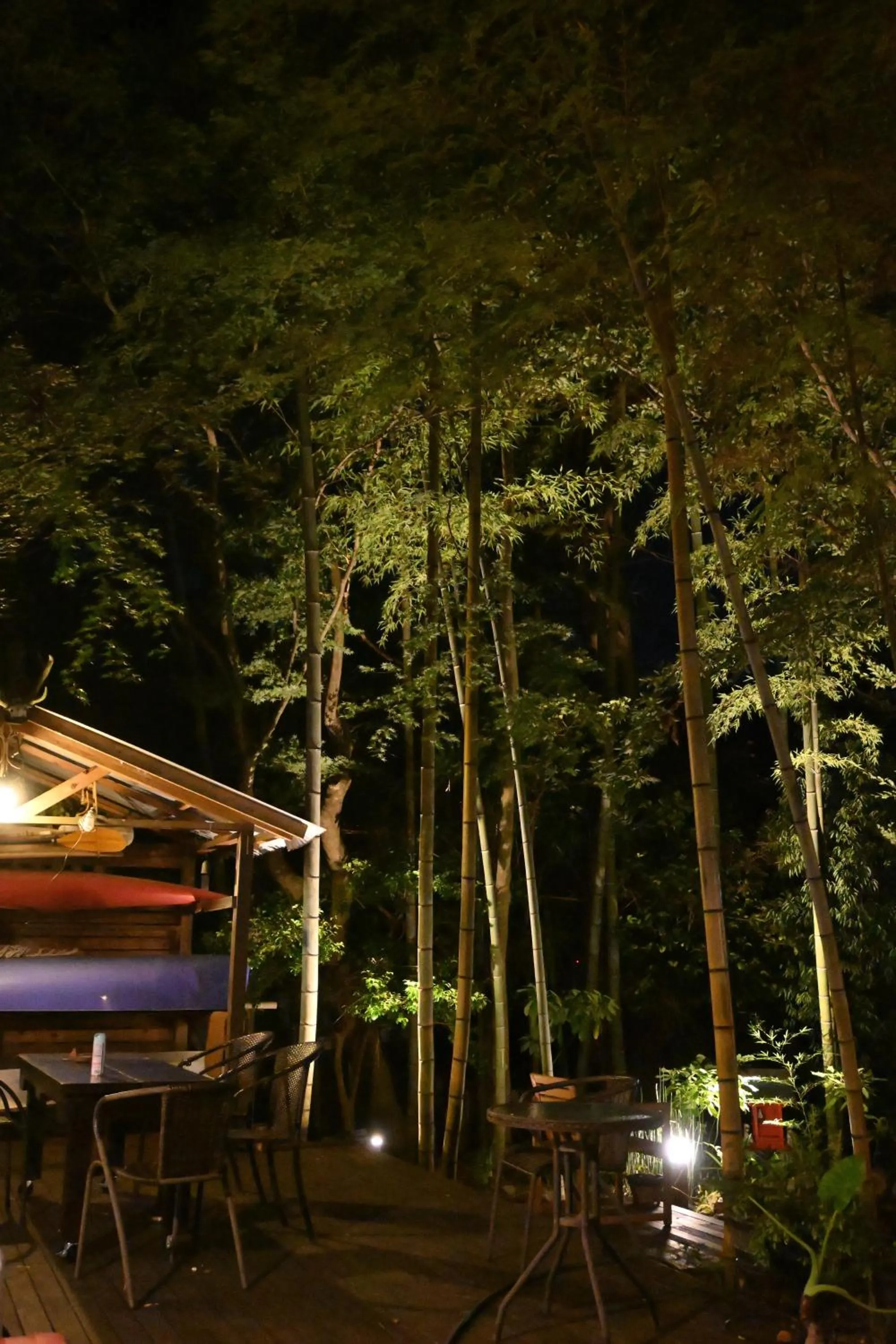 Night in Hakone Mori No Yado