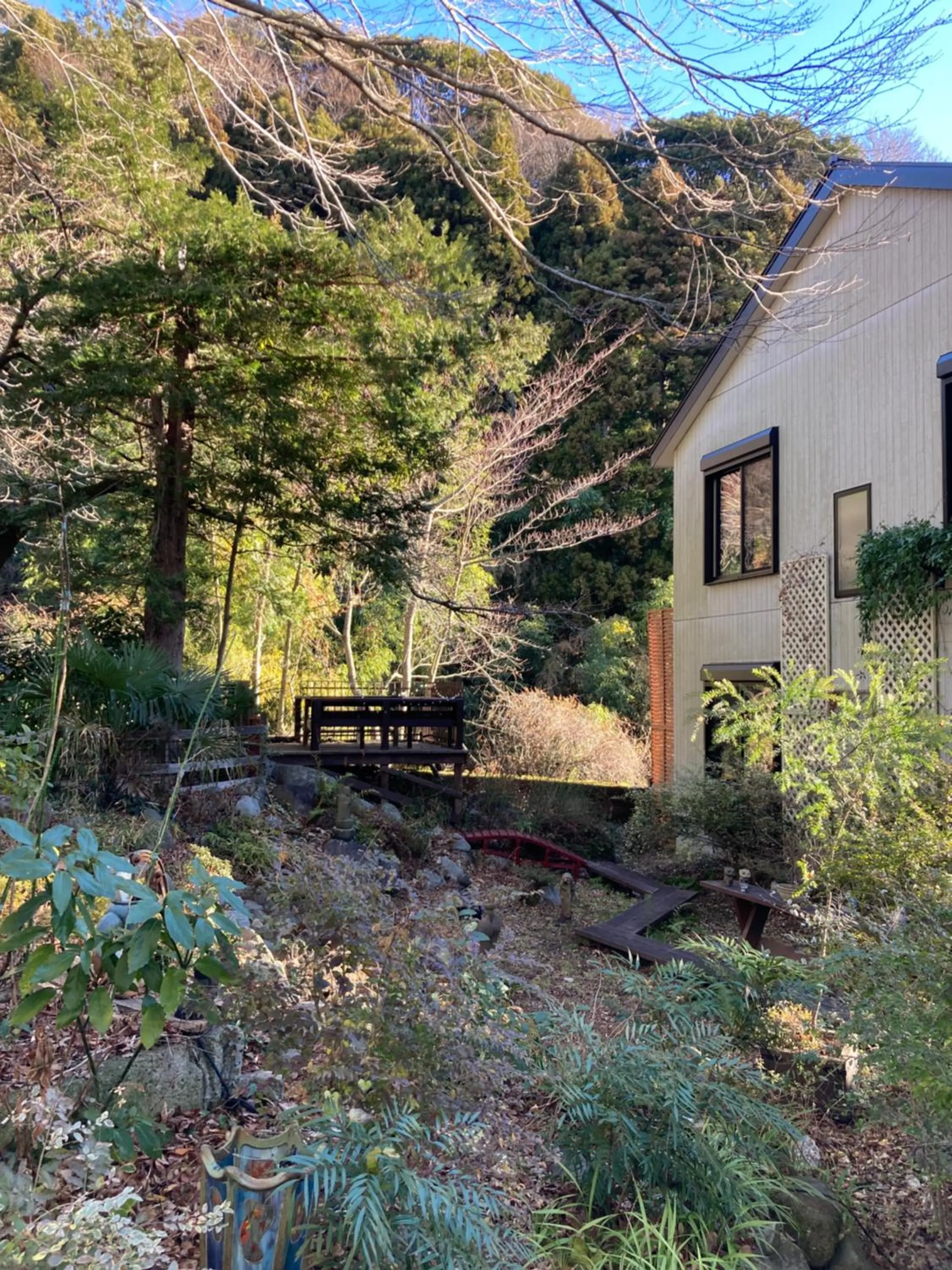 Garden in Hakone Mori No Yado