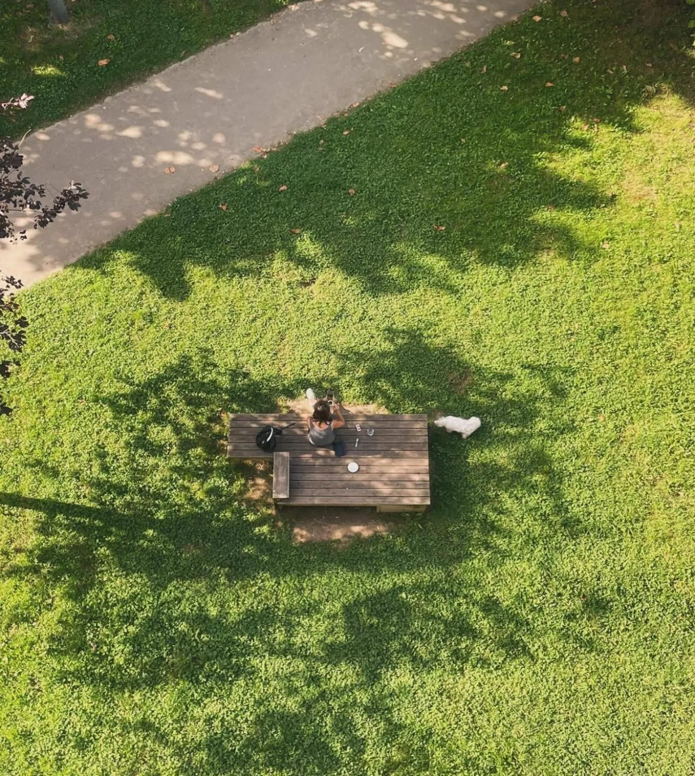 Garden view in UBA Hostel