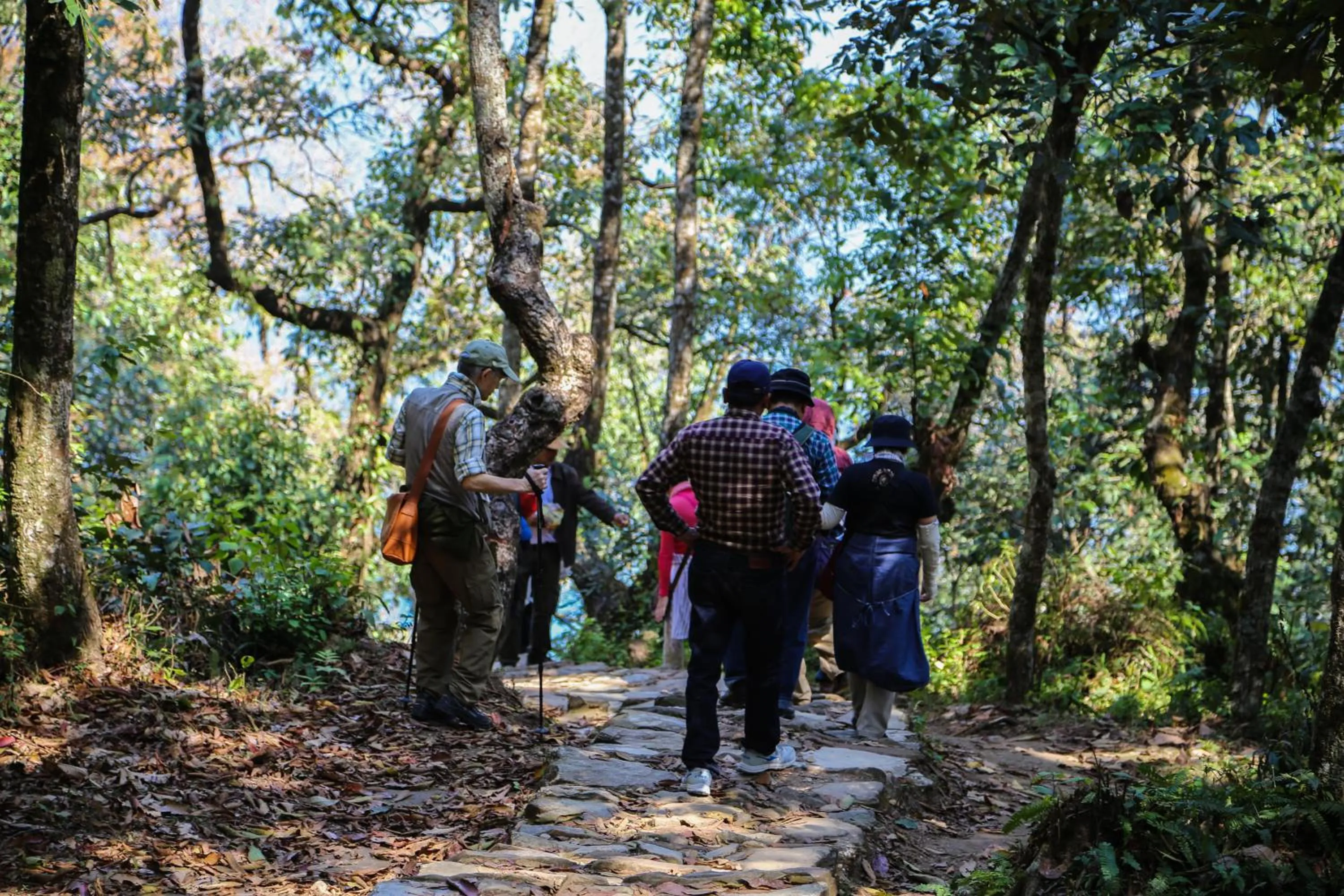 Decorative detail in Raniban Retreat