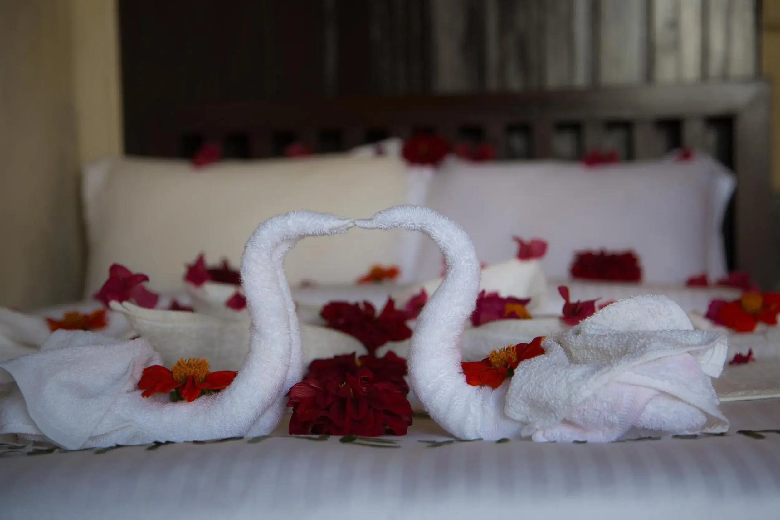 Bed in Raniban Retreat Bed in Raniban Retreat