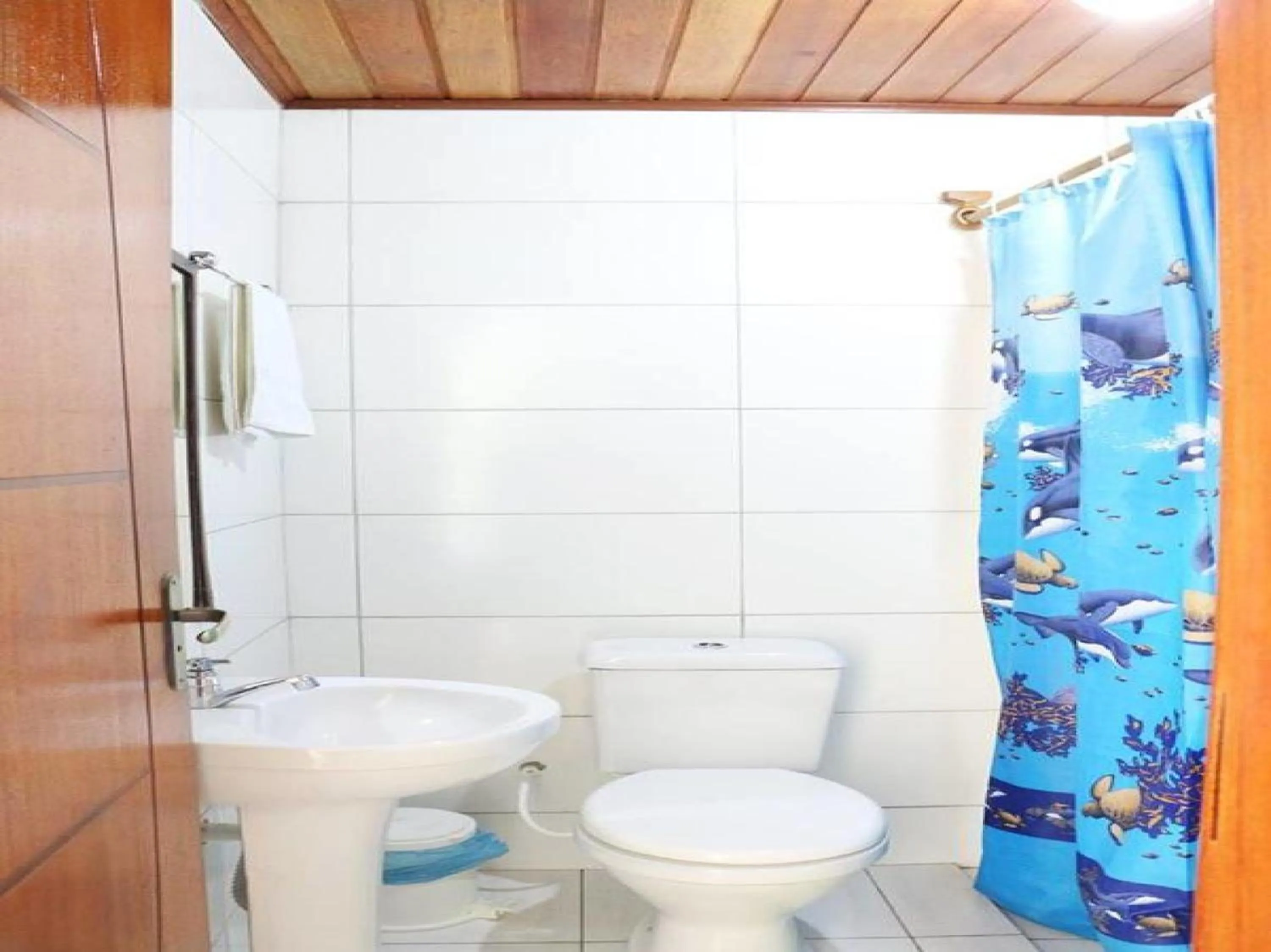 Bathroom in Pousada Trevo Do Barbuda