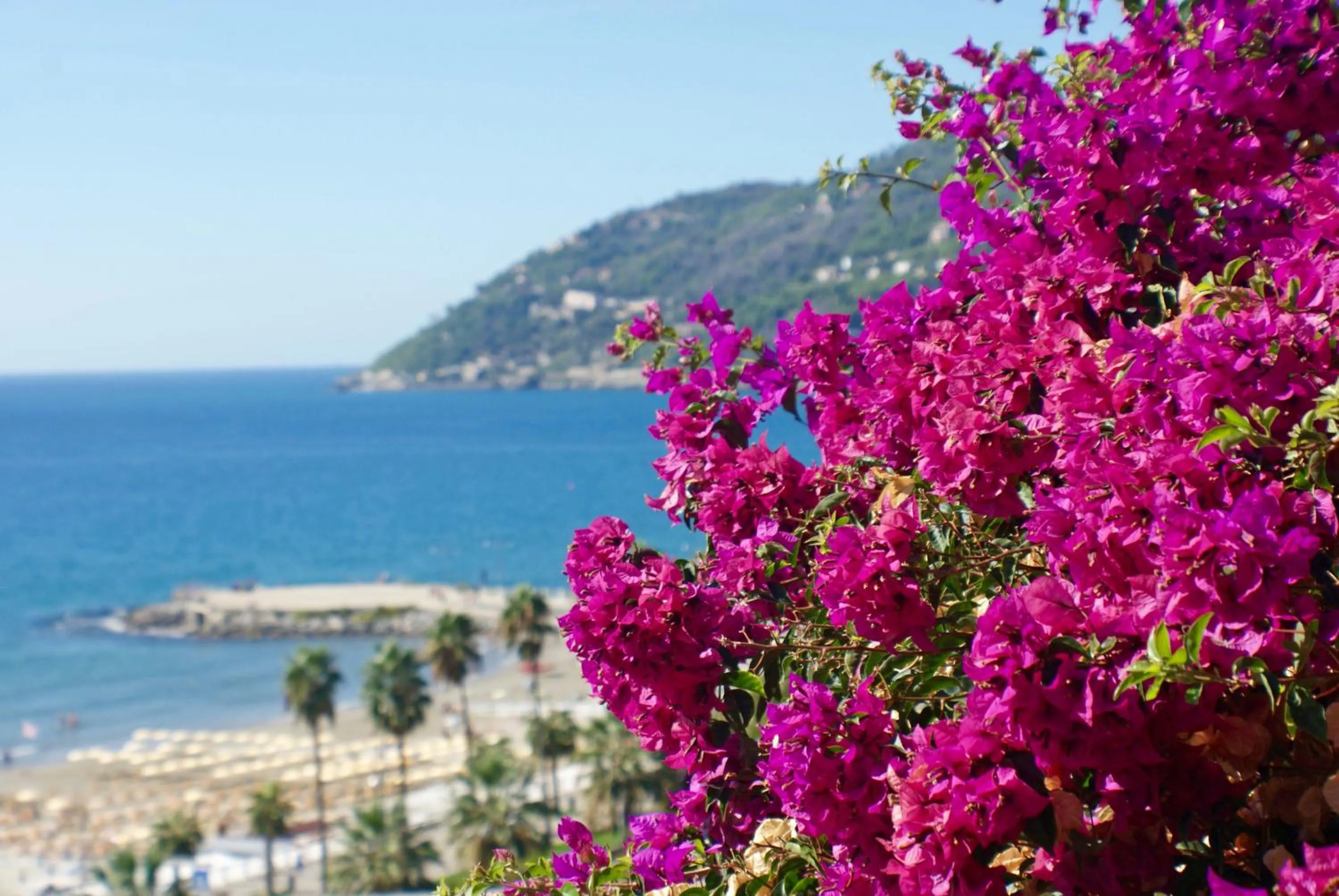 Sea view in Albergo La Pineta