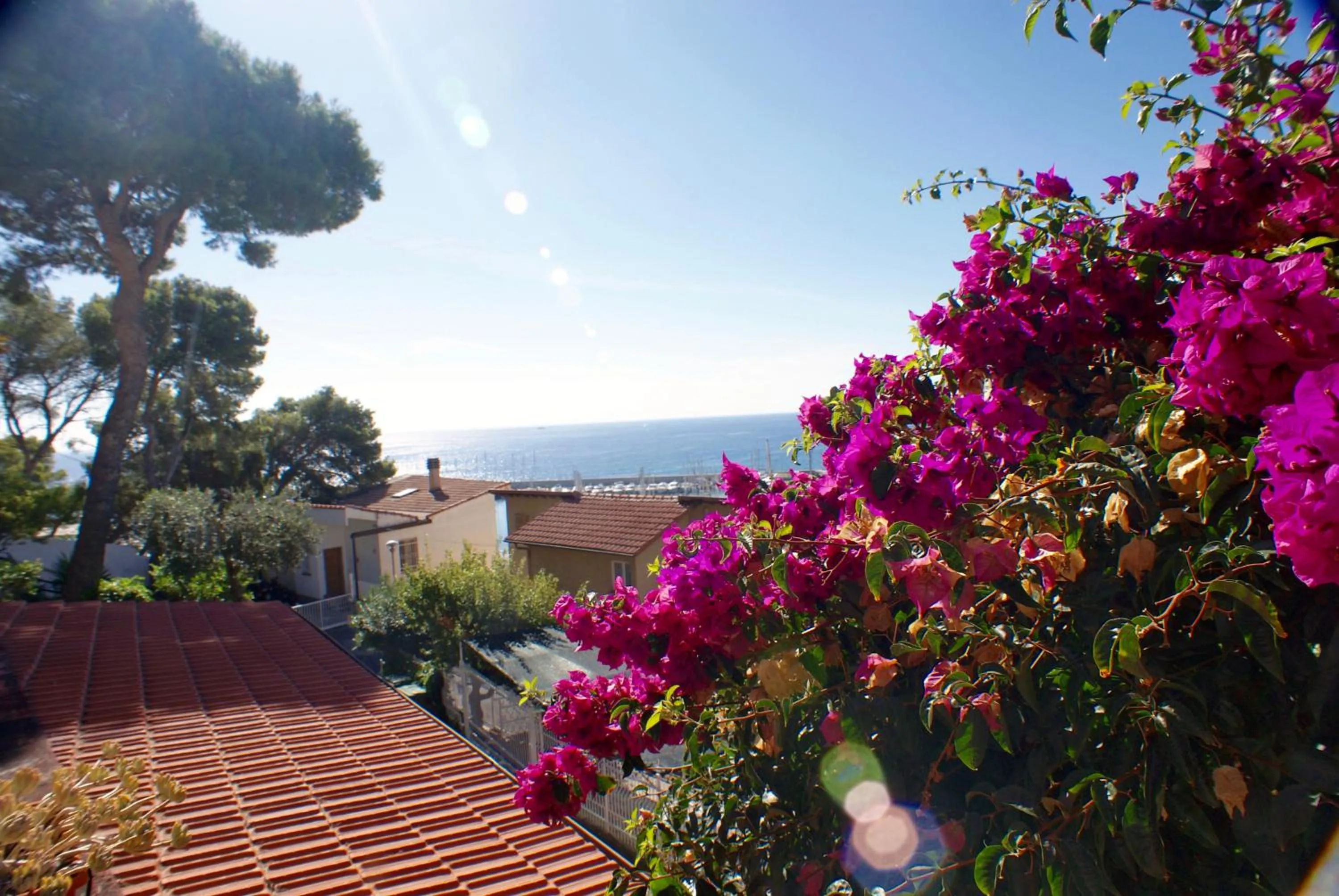 Sea view in Albergo La Pineta