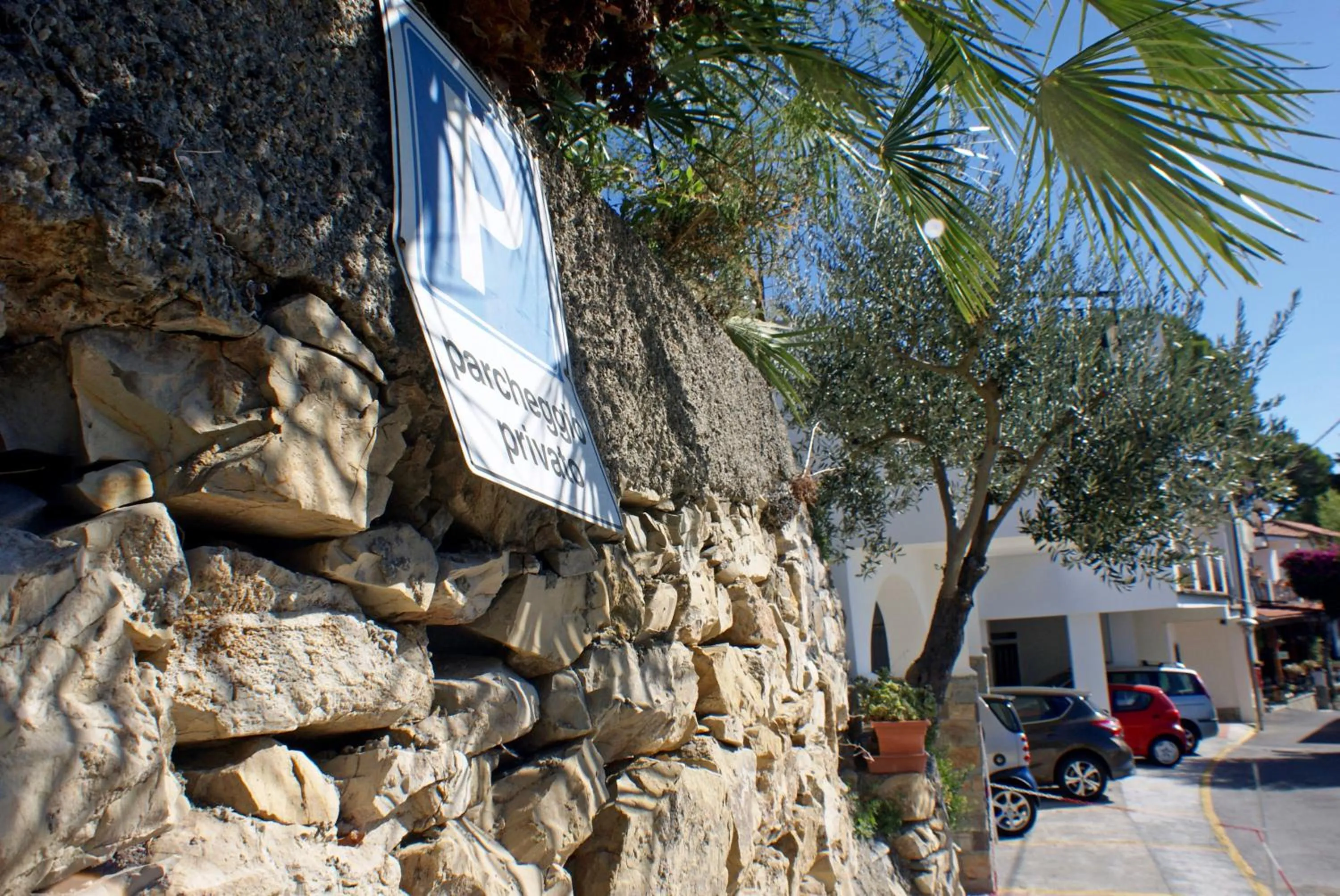 Street view in Albergo La Pineta