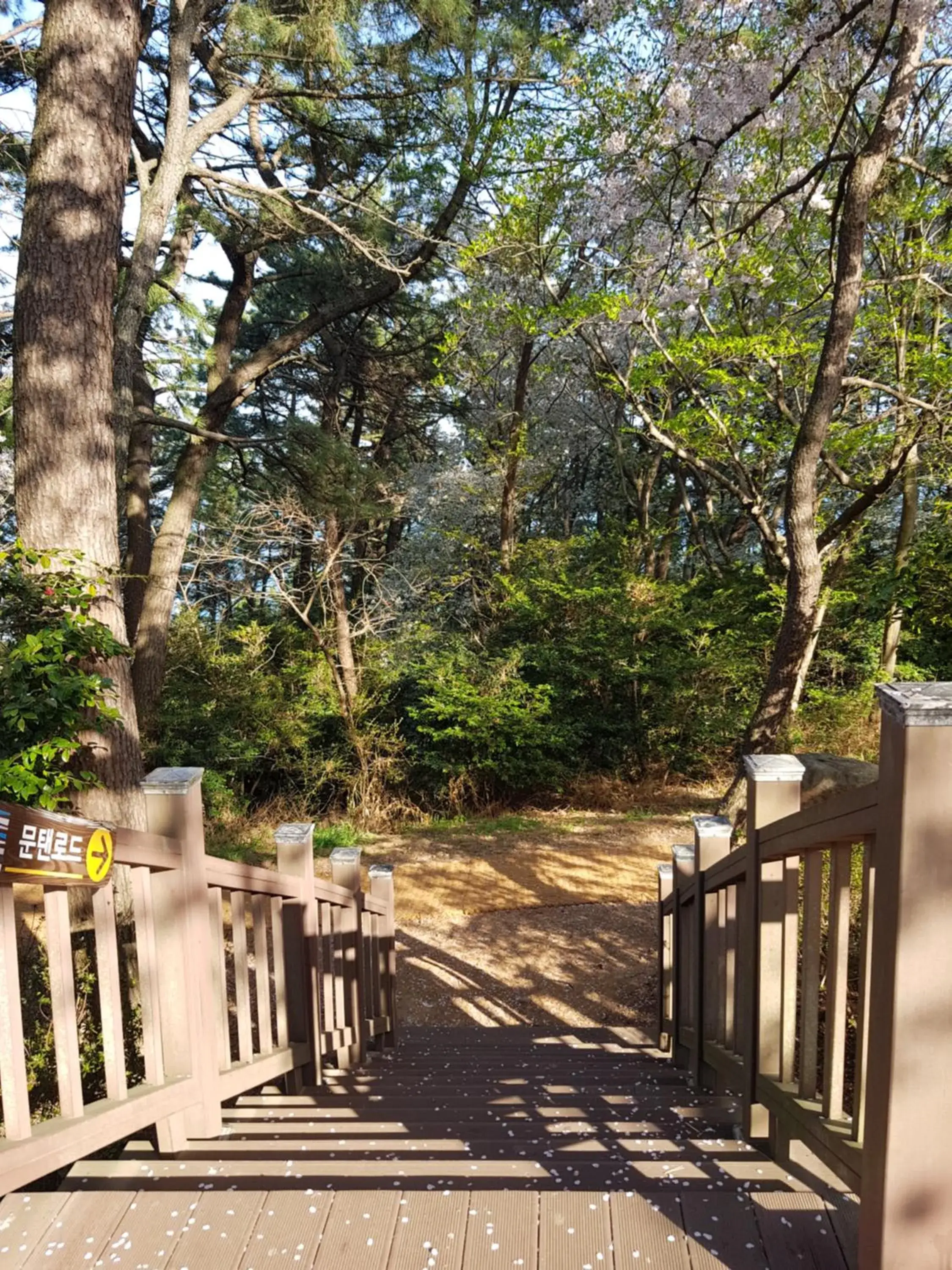 Activities in Suntree Hotel Activities in Suntree Hotel