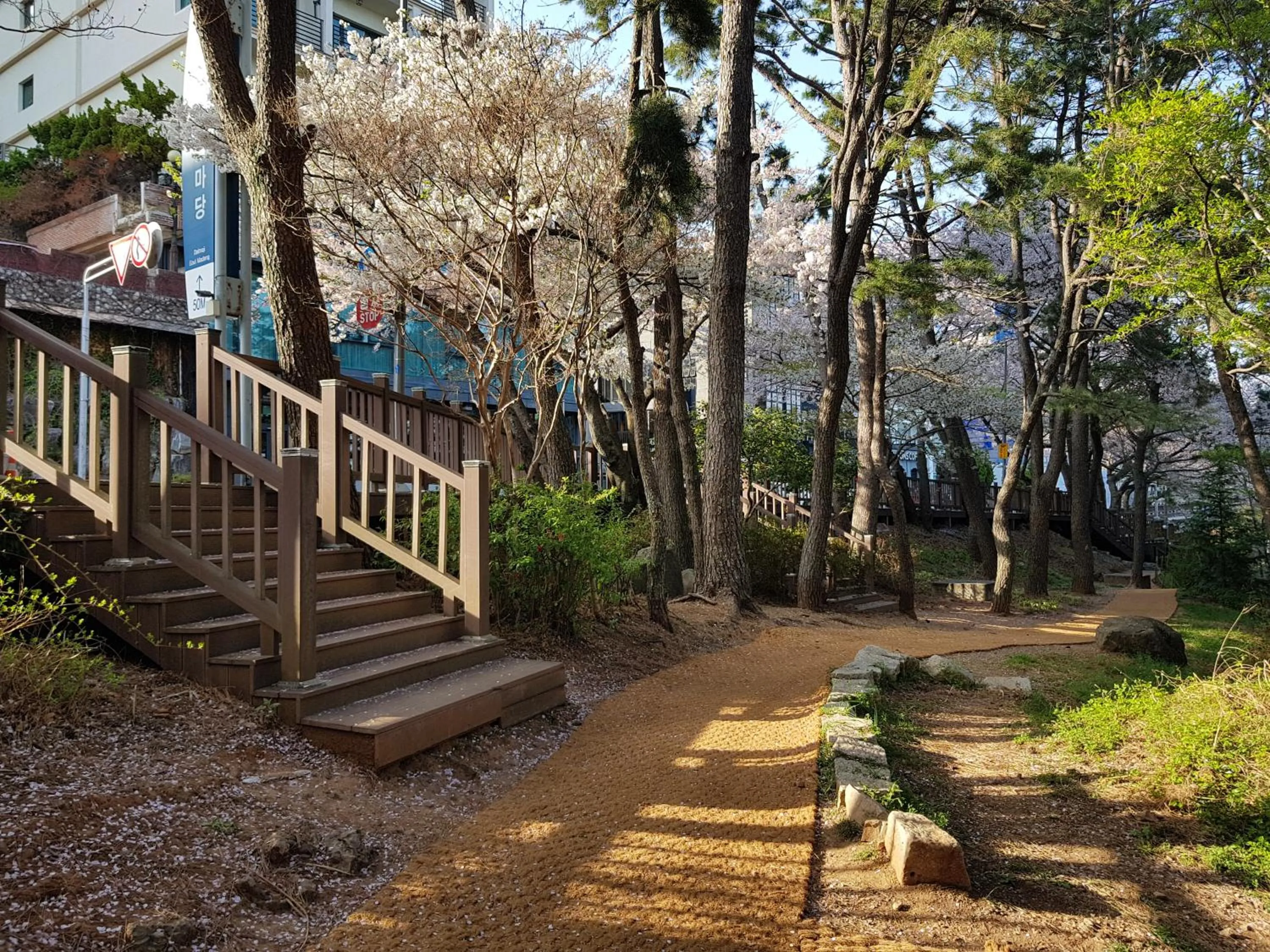 Activities in Suntree Hotel