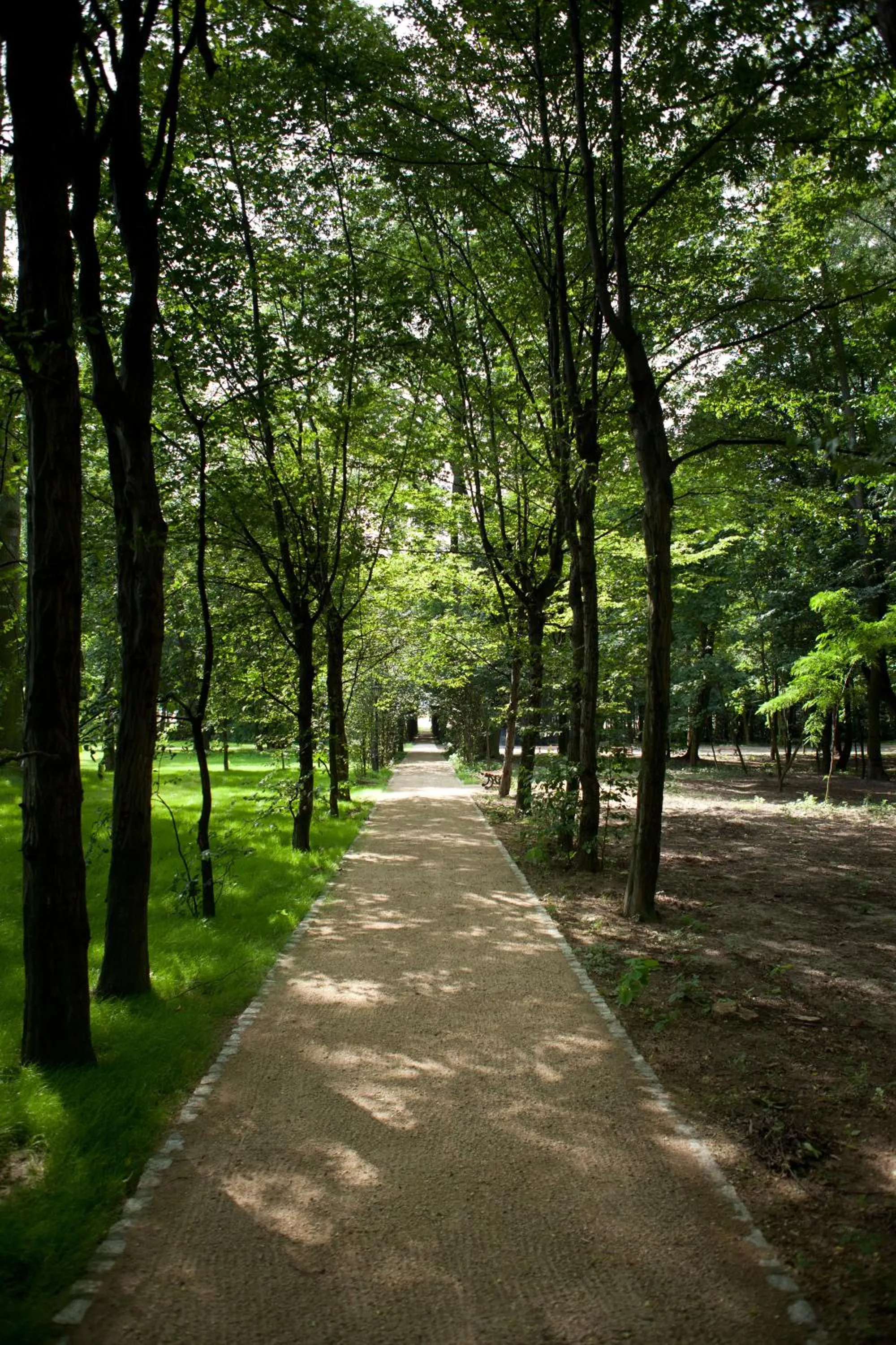 Area and facilities in Pałac Tłokinia