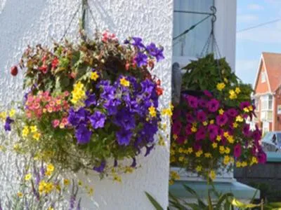 Day in White Heather Guest House