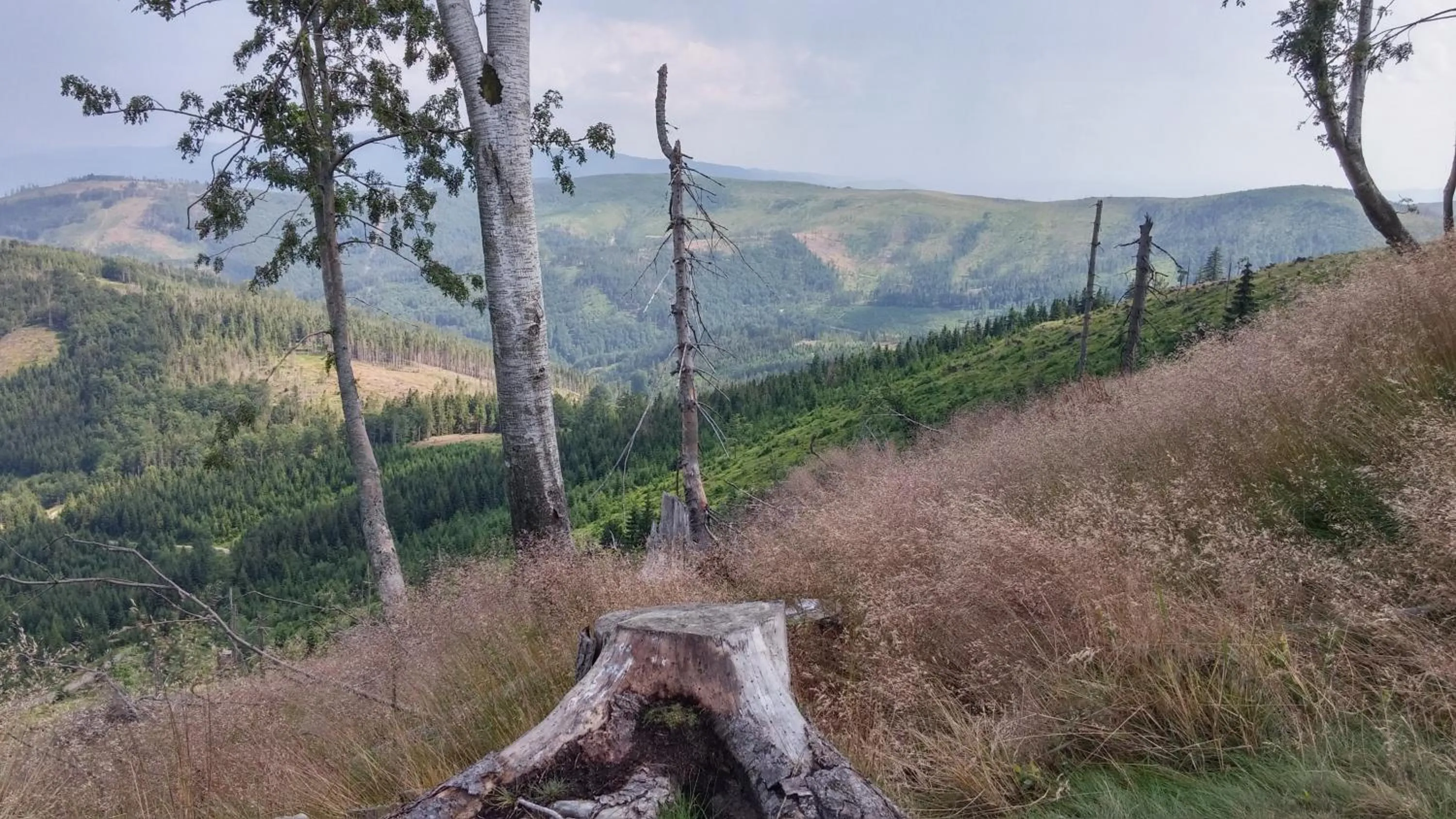 Off site in Pod Klimczokiem I