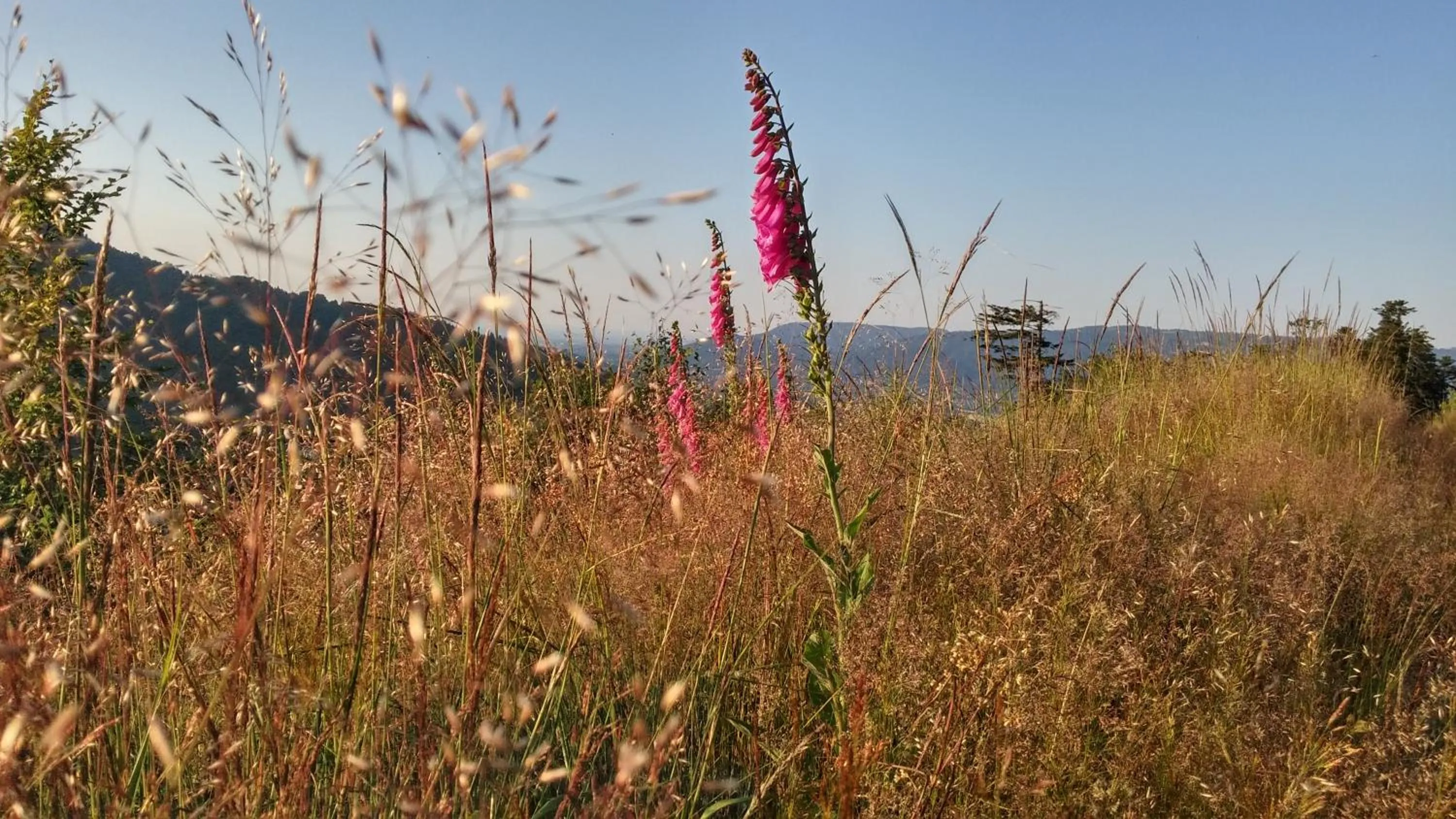 Off site in Pod Klimczokiem I