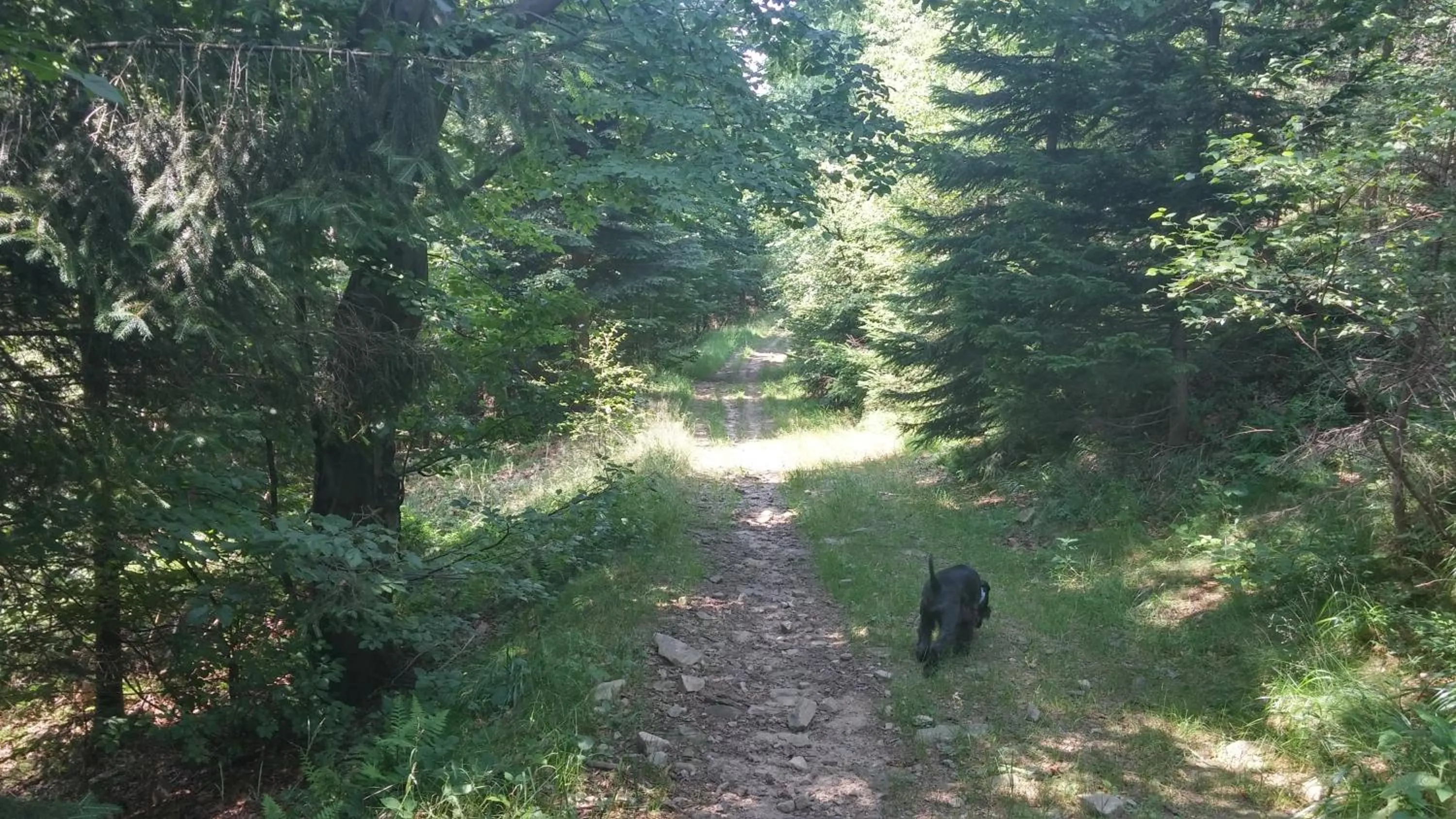 Off site in Pod Klimczokiem I