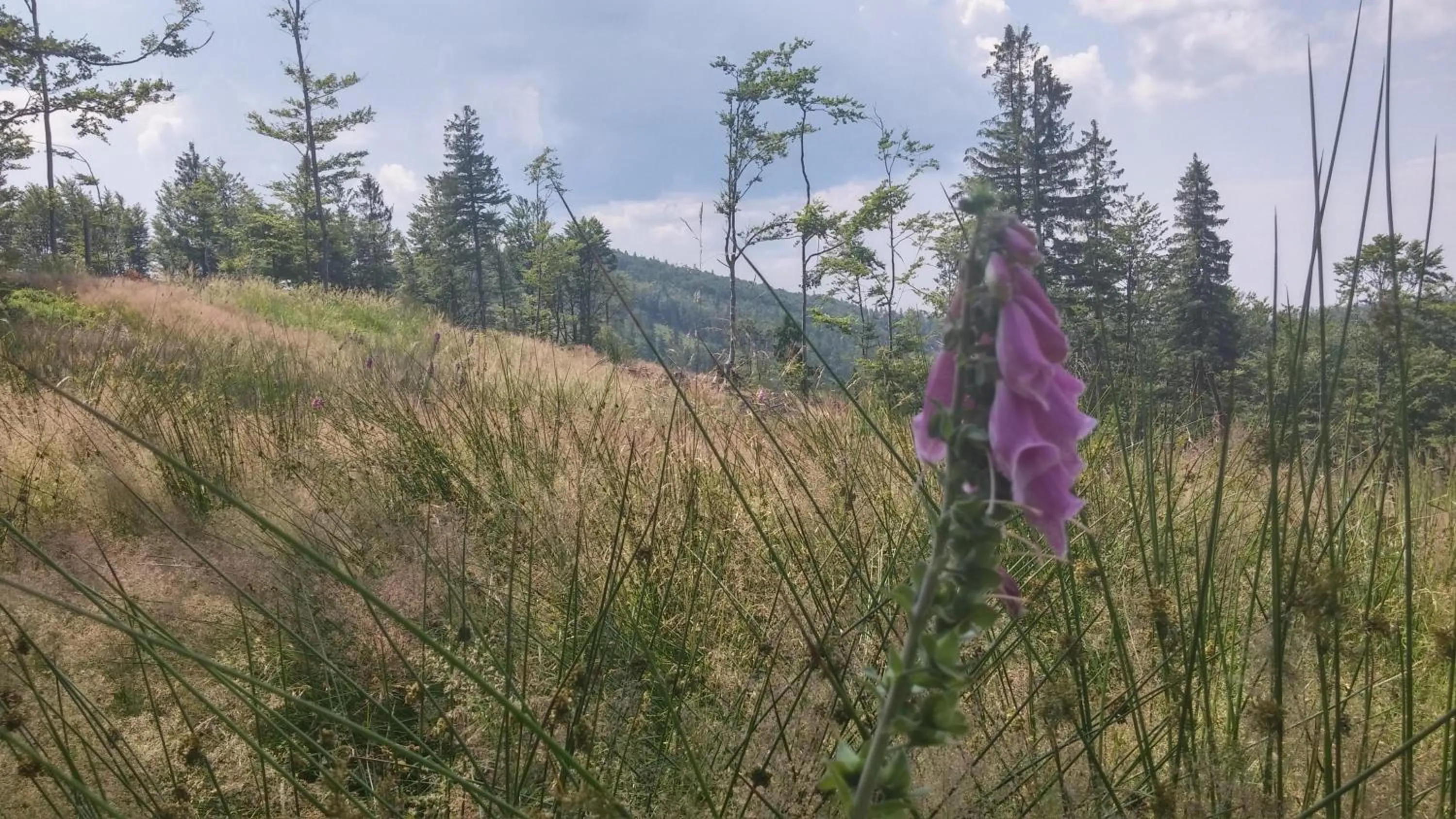 Off site in Pod Klimczokiem I