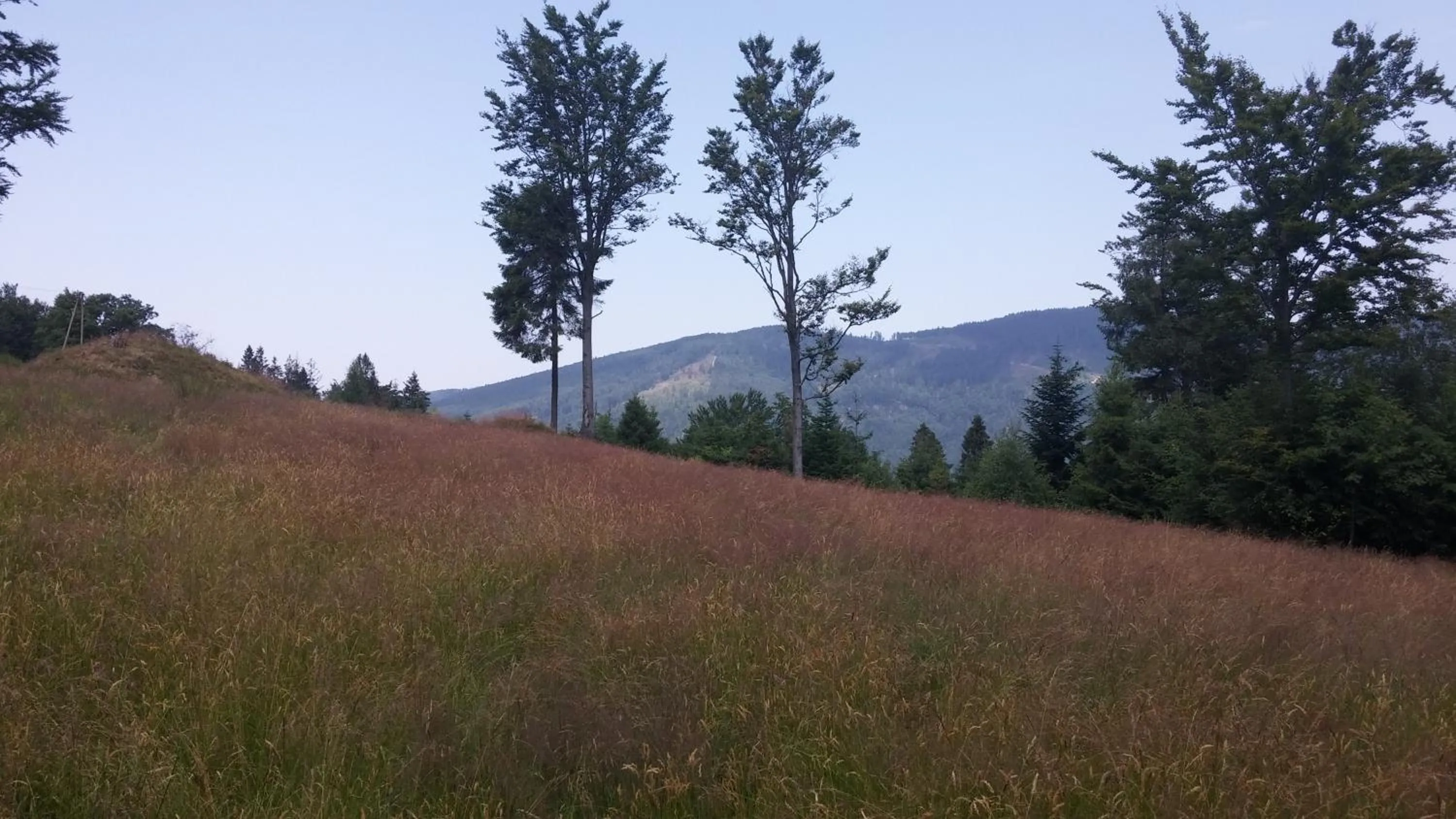 Off site in Pod Klimczokiem I