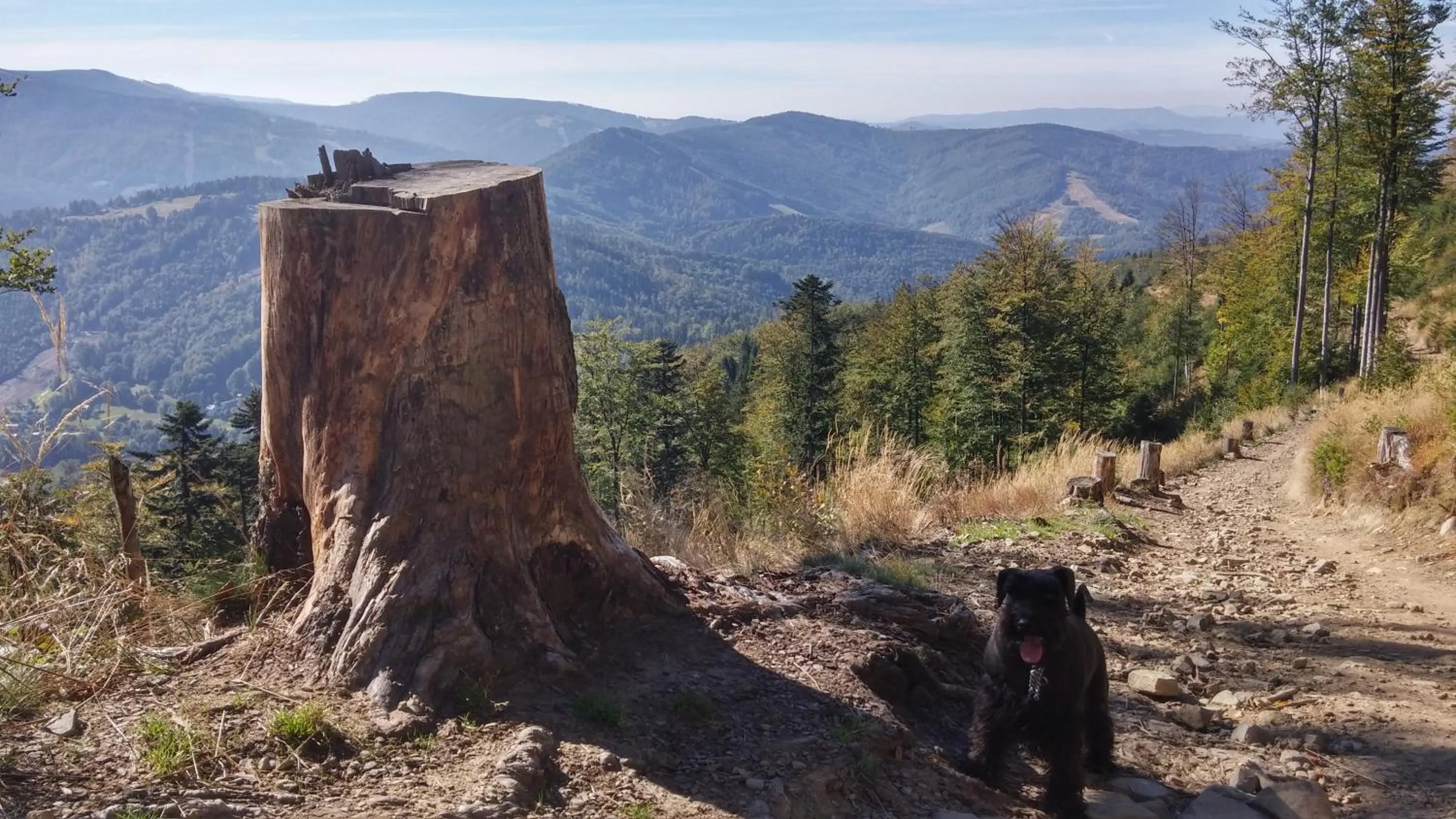 Off site in Pod Klimczokiem I