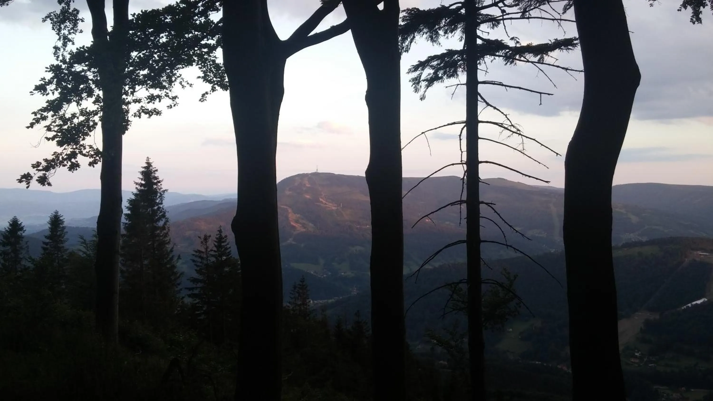 Off site in Pod Klimczokiem I