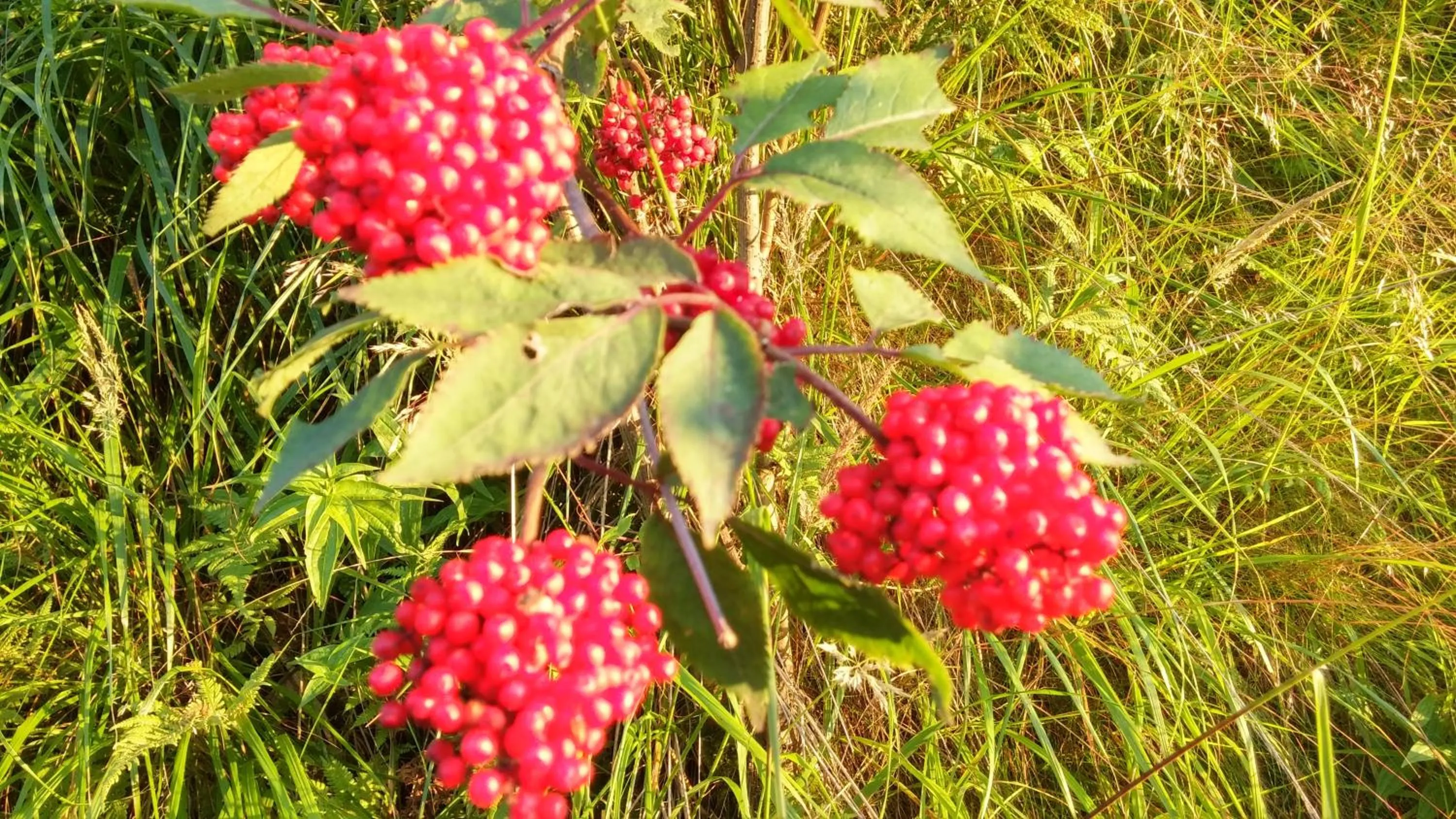 Other in Pod Klimczokiem I