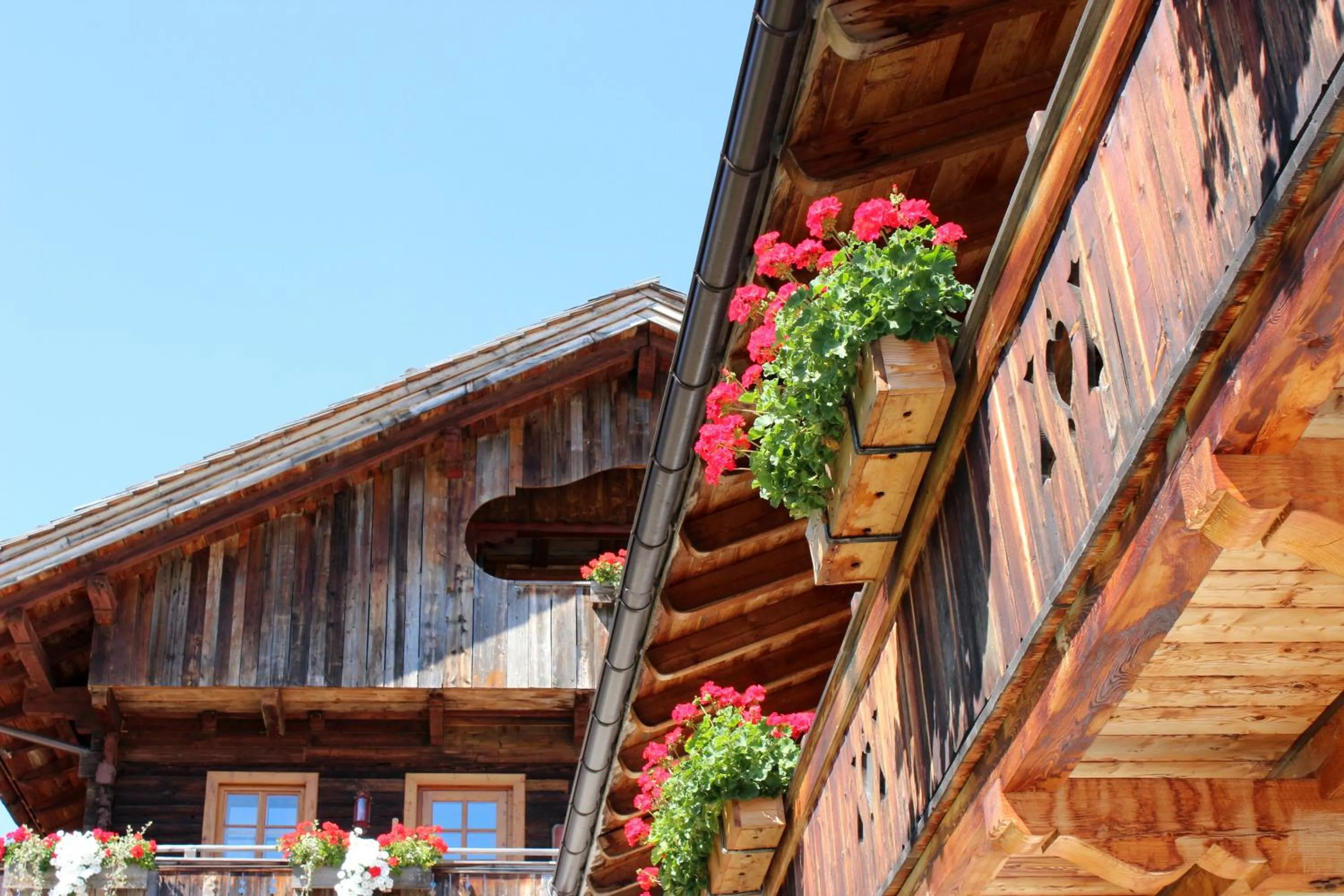 Balcony/Terrace in Ferienhaus Veider