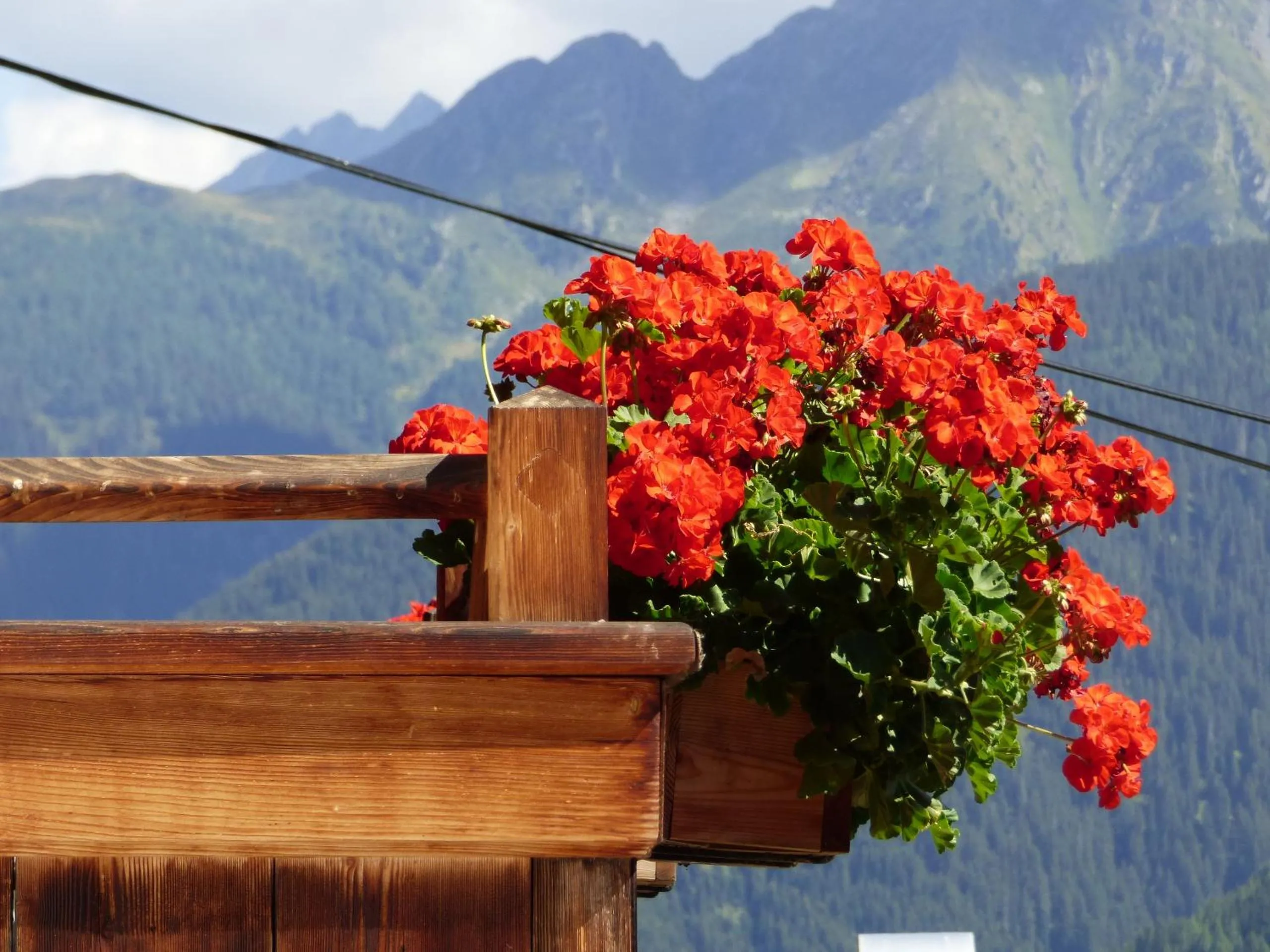 Mountain view in Ferienhaus Veider
