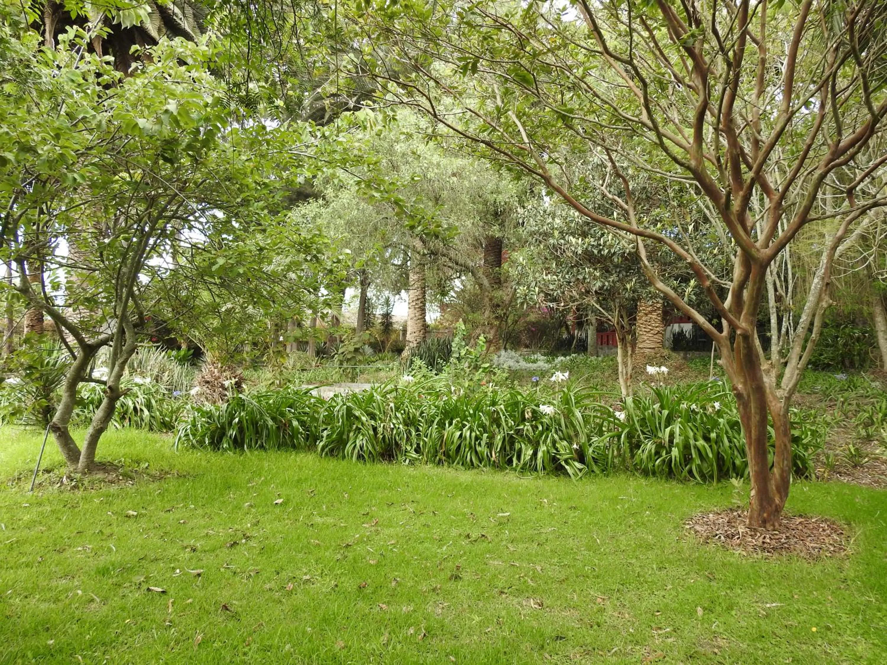 Hosteria Museart Pantavi