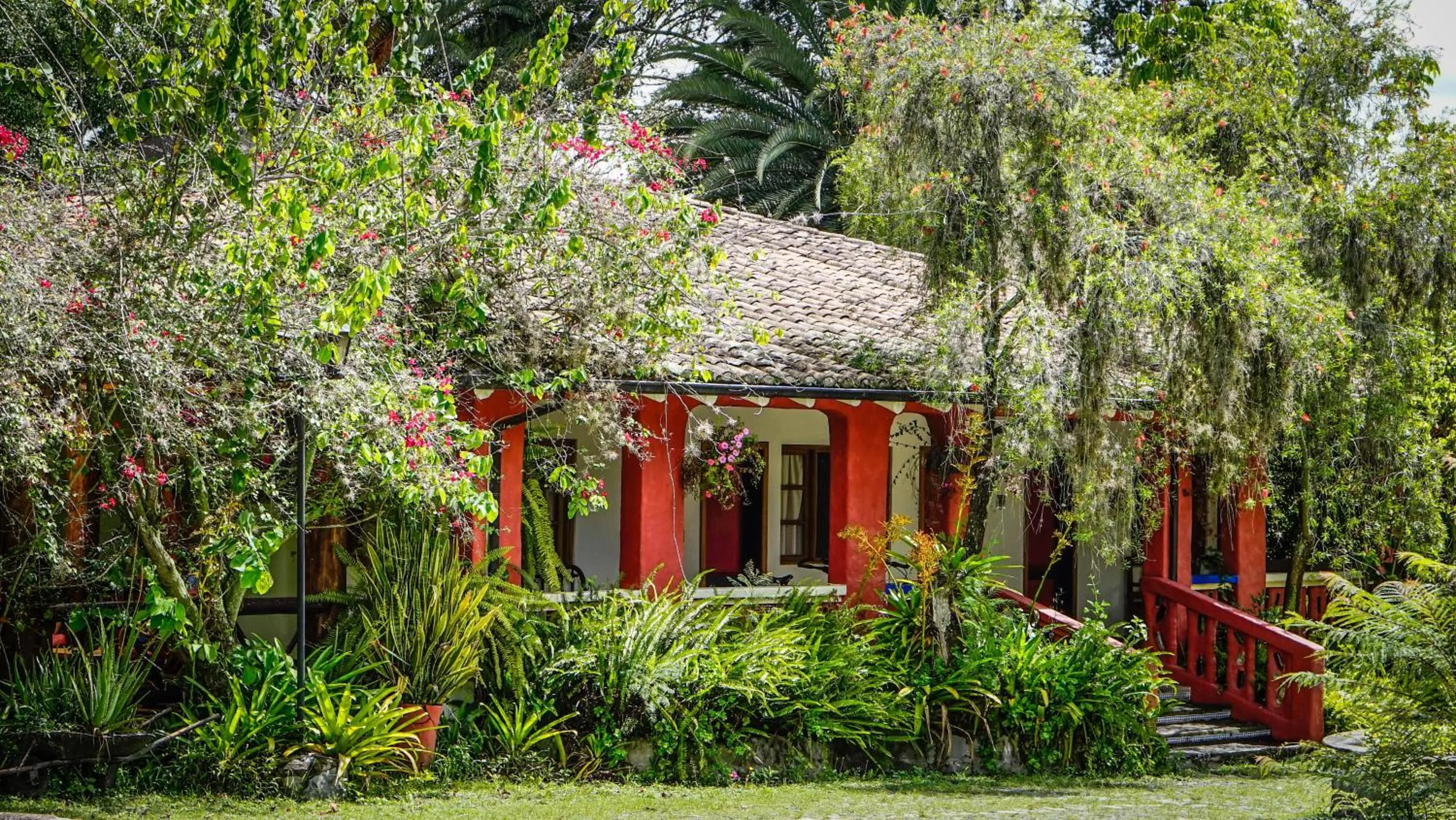 Property building in Hosteria Museart Pantavi