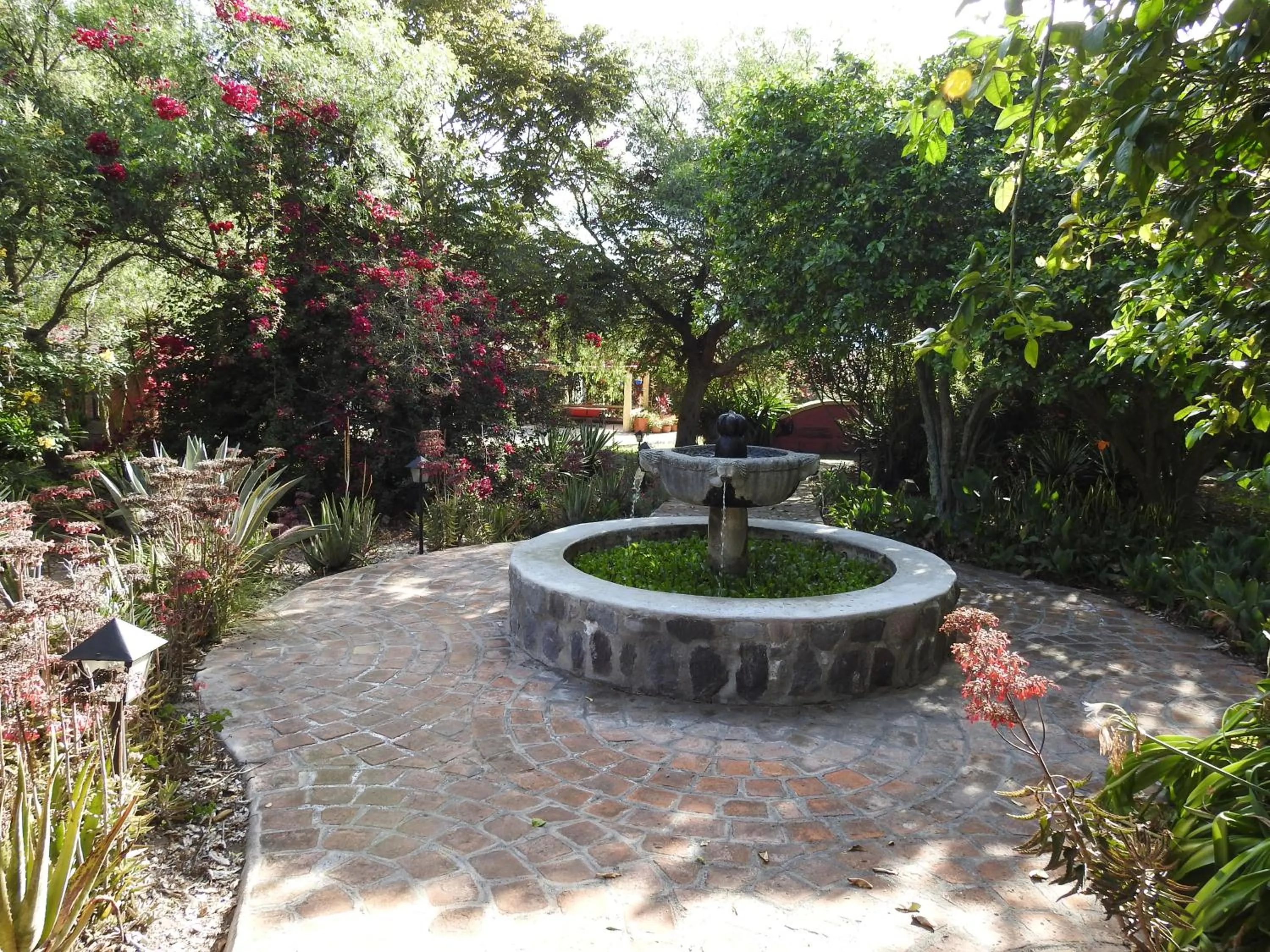 Property building in Hosteria Museart Pantavi