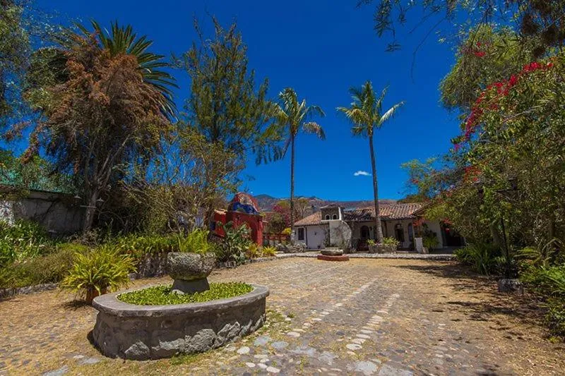 Hosteria Museart Pantavi