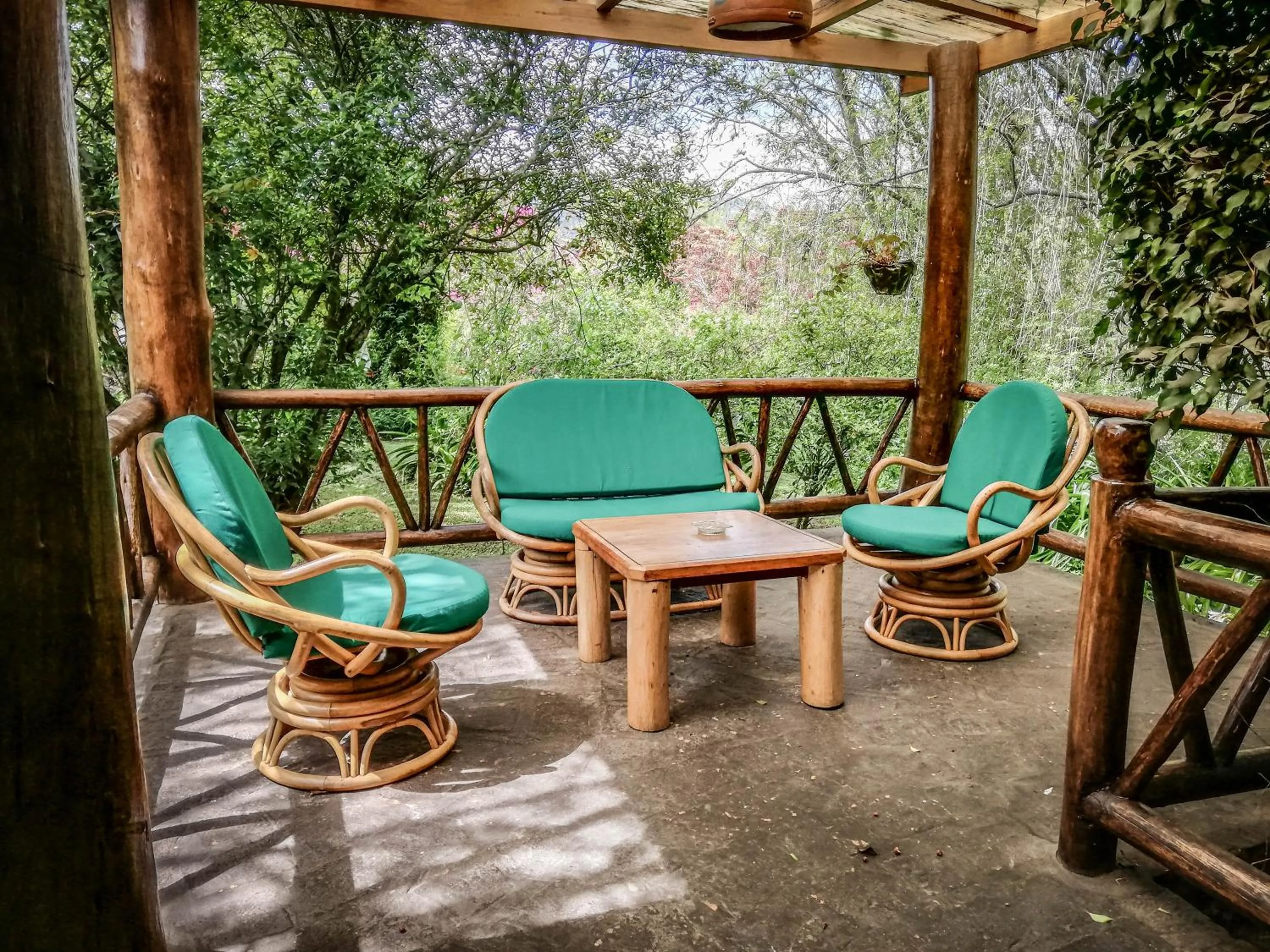 Balcony/Terrace in Hosteria Museart Pantavi