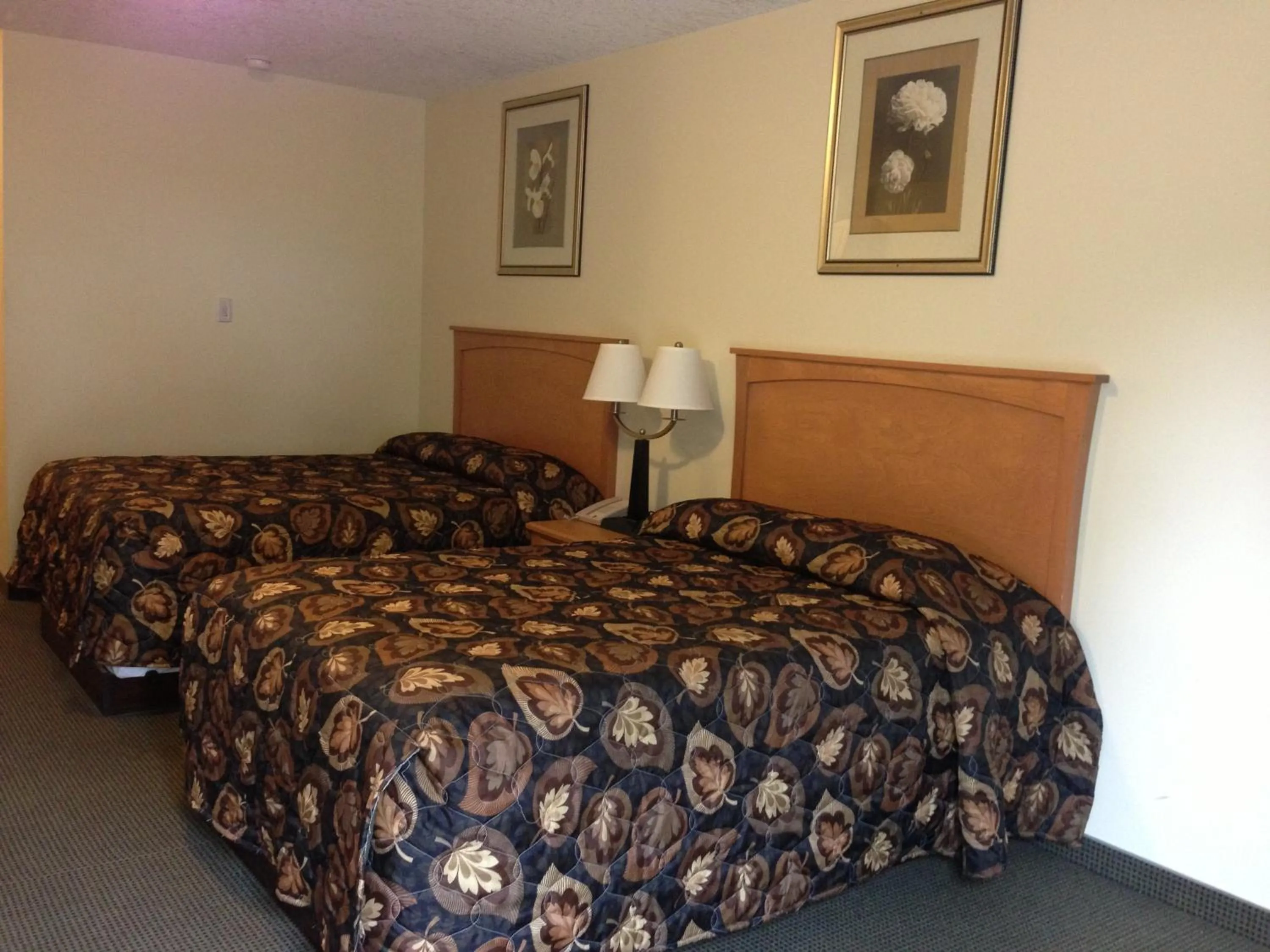 Bed in Circle 6 Motel