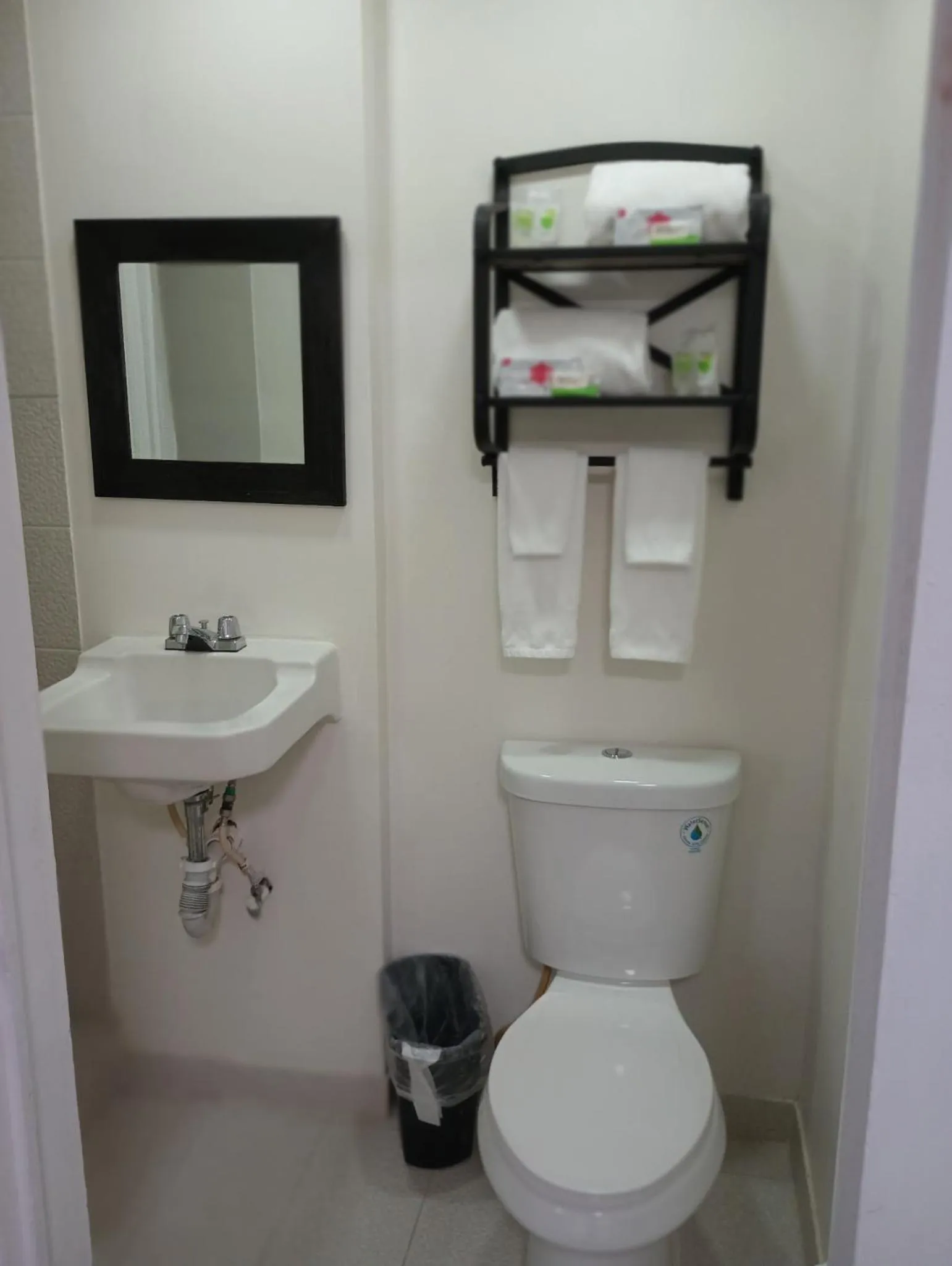 Toilet in Rose's Motel