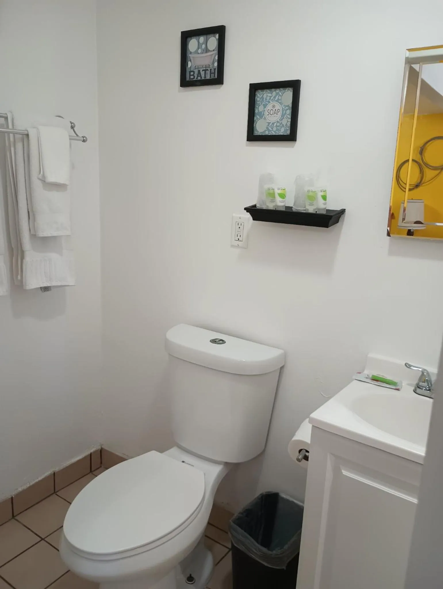 Toilet in Rose's Motel