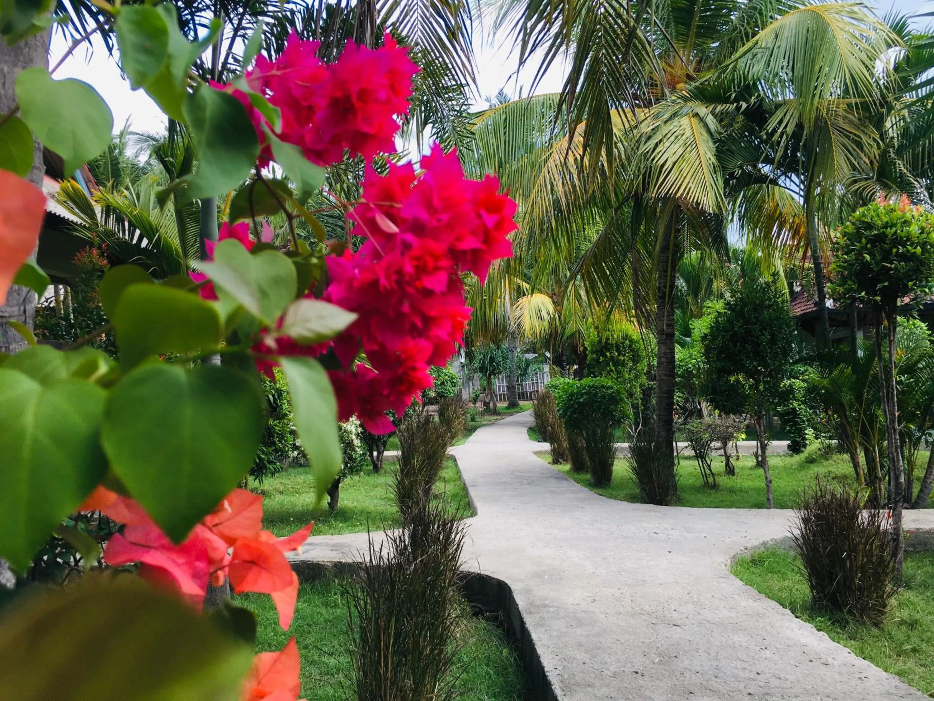View (from property/room) in Pelangi Cottages Gili Air
