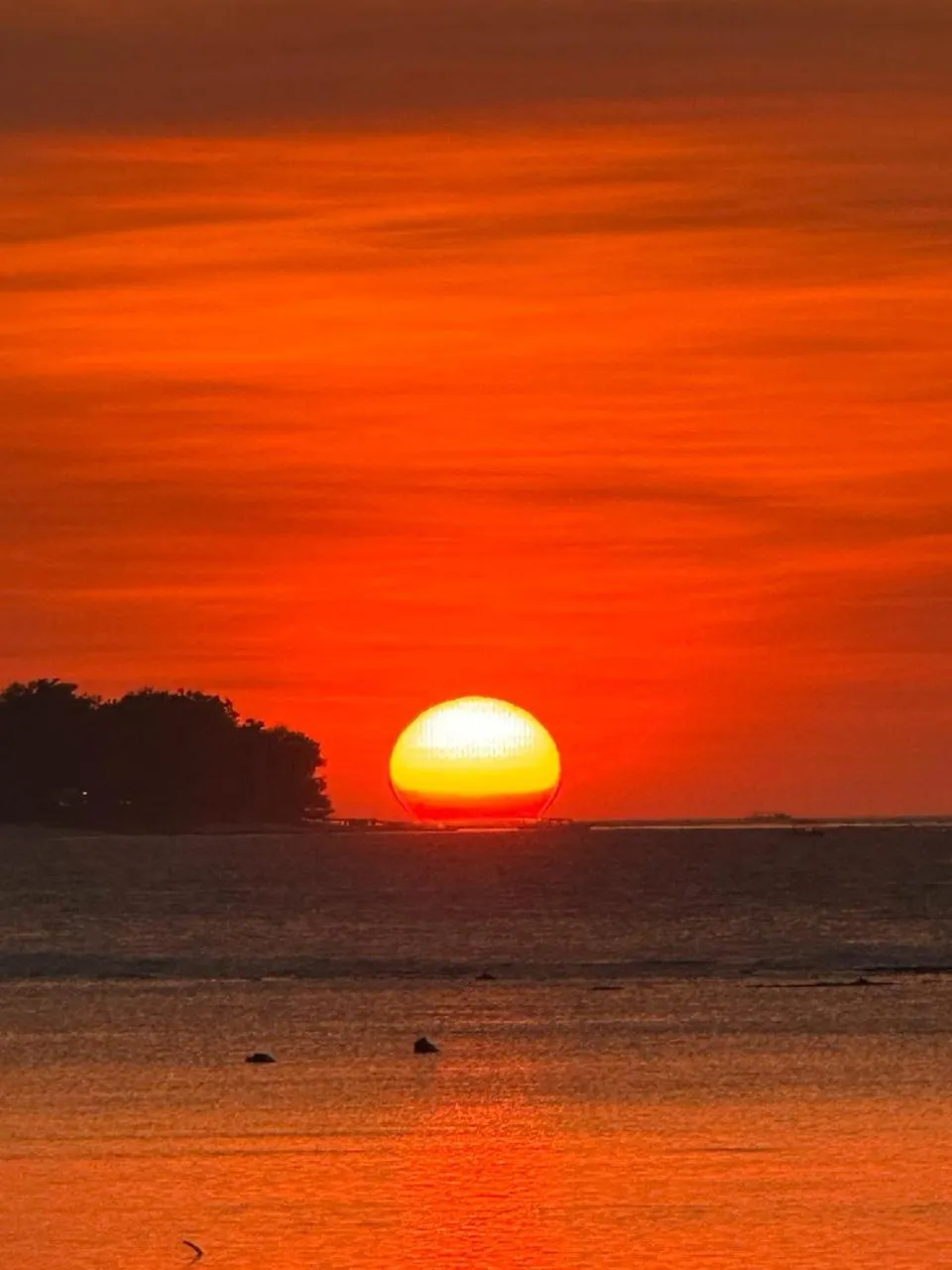 View (from property/room) in Pelangi Cottages Gili Air