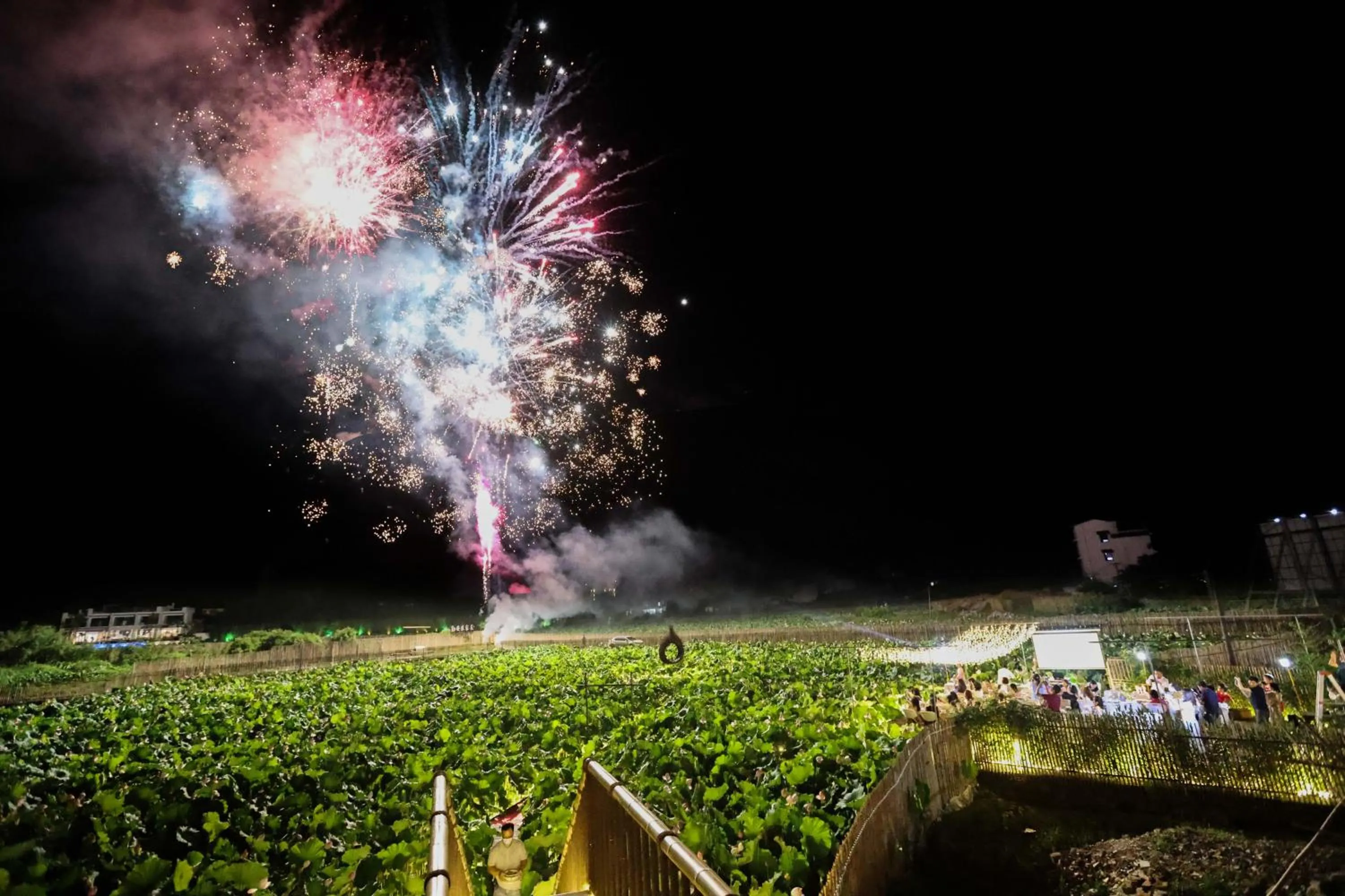 Pool view in Yangshuo Tea Cozy--one way Free pick up from airport or TS 4 nights