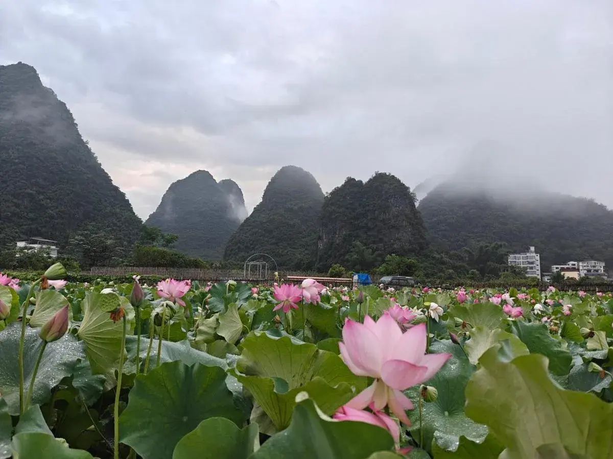 Property building in Yangshuo Tea Cozy--one way Free pick up from airport or TS 4 nights Property building in Yangshuo Tea Cozy--one way Free pick up from airport or TS 4 nights