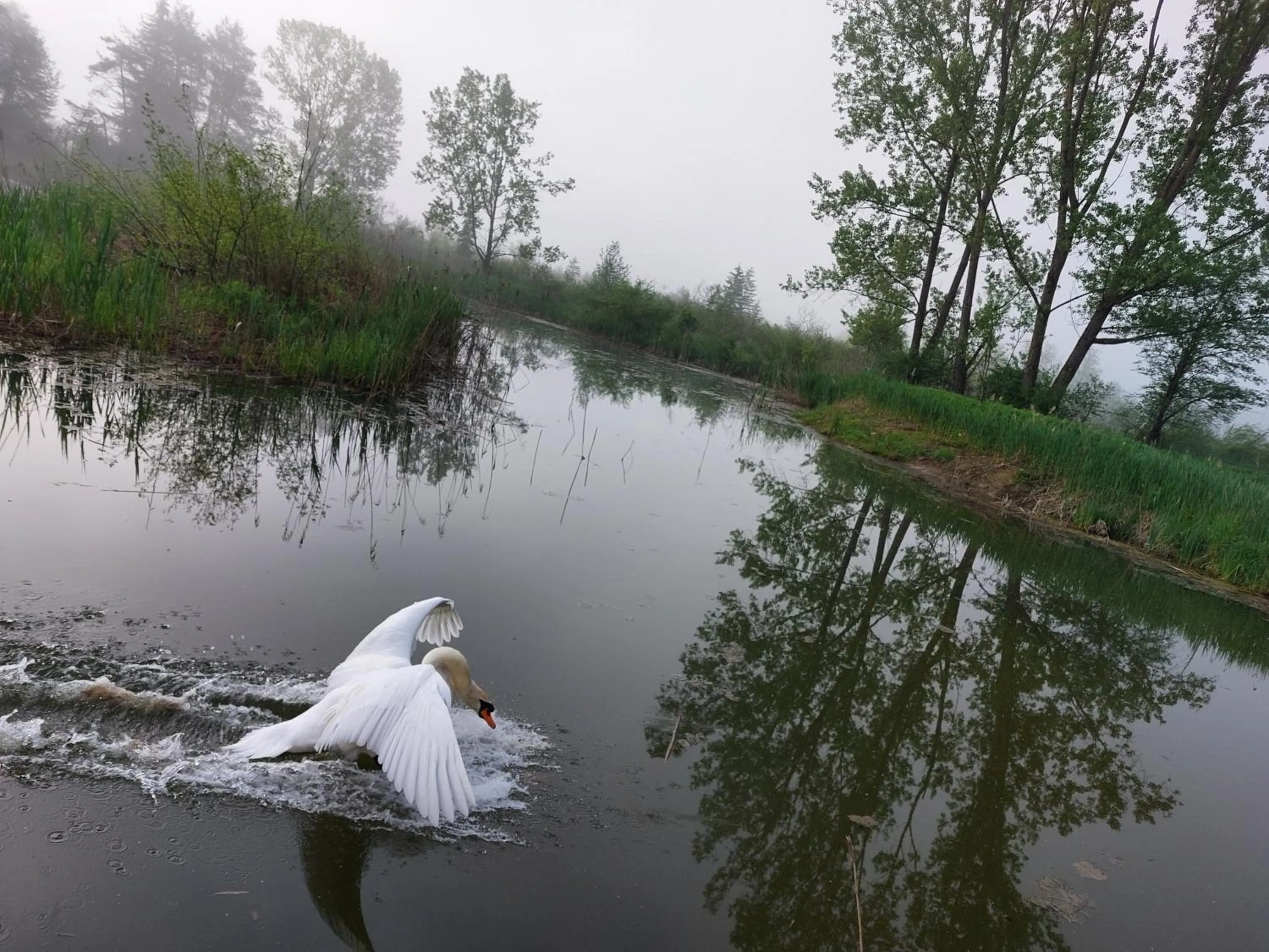 Swimming pool in Appartementhotel Rutar Lido