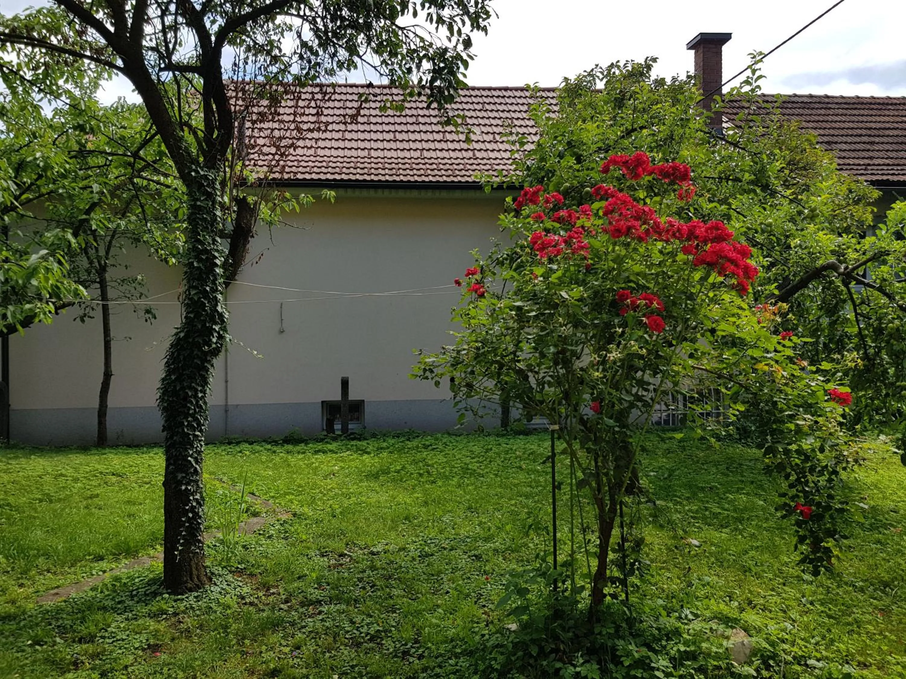 Villa Coola