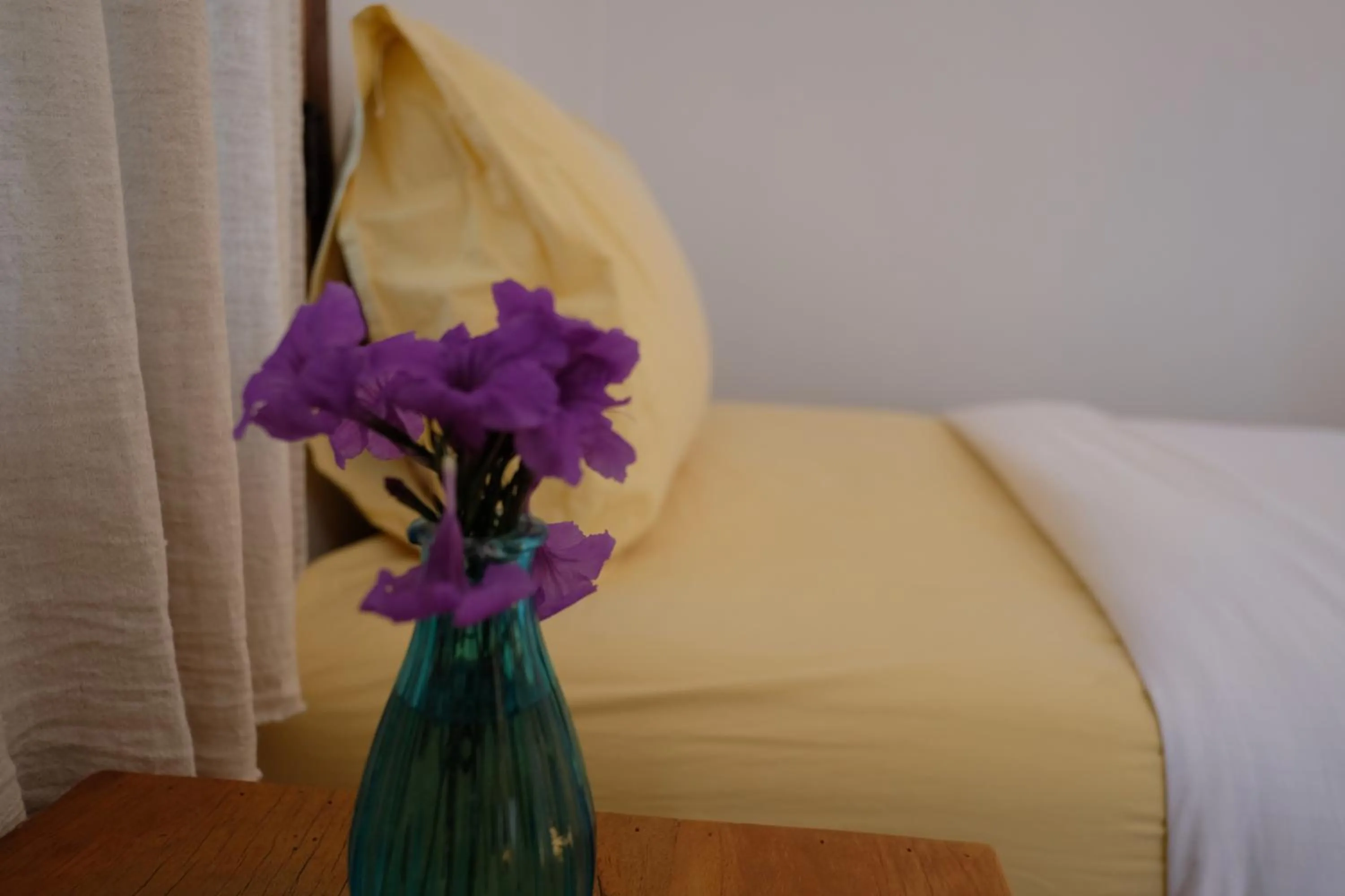 Bed in Paiyannoi Guesthome